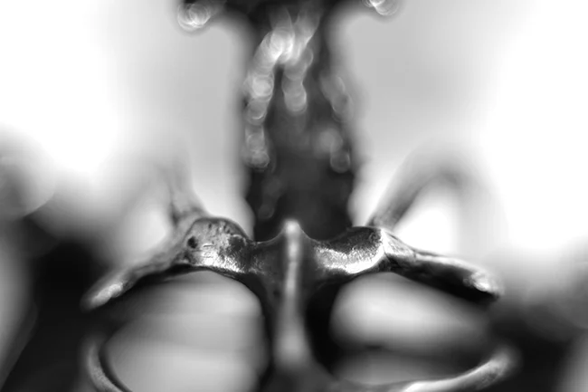 Miyu Decay Sterling Silver Bat Skeleton