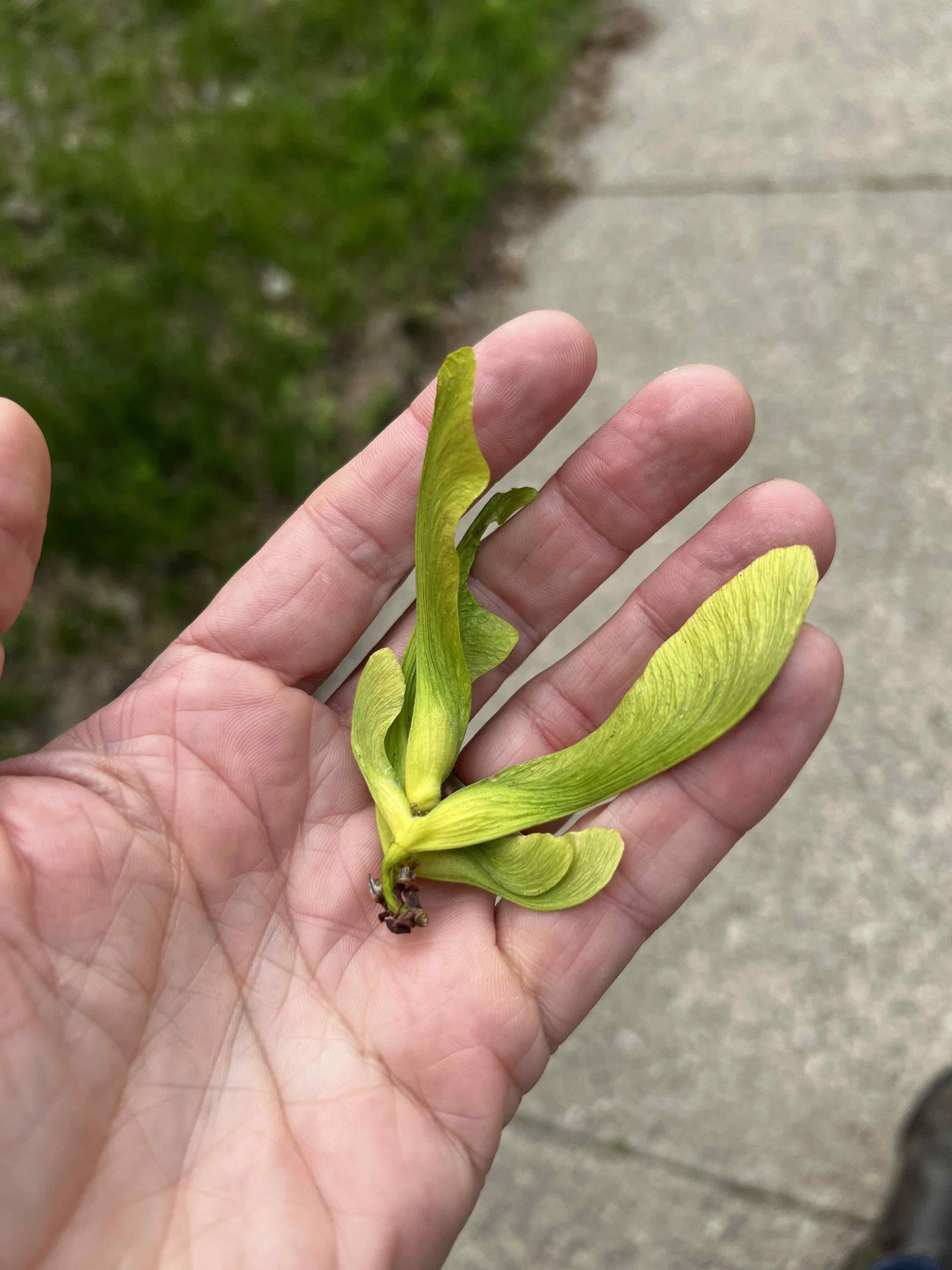 0076 - big helicopters