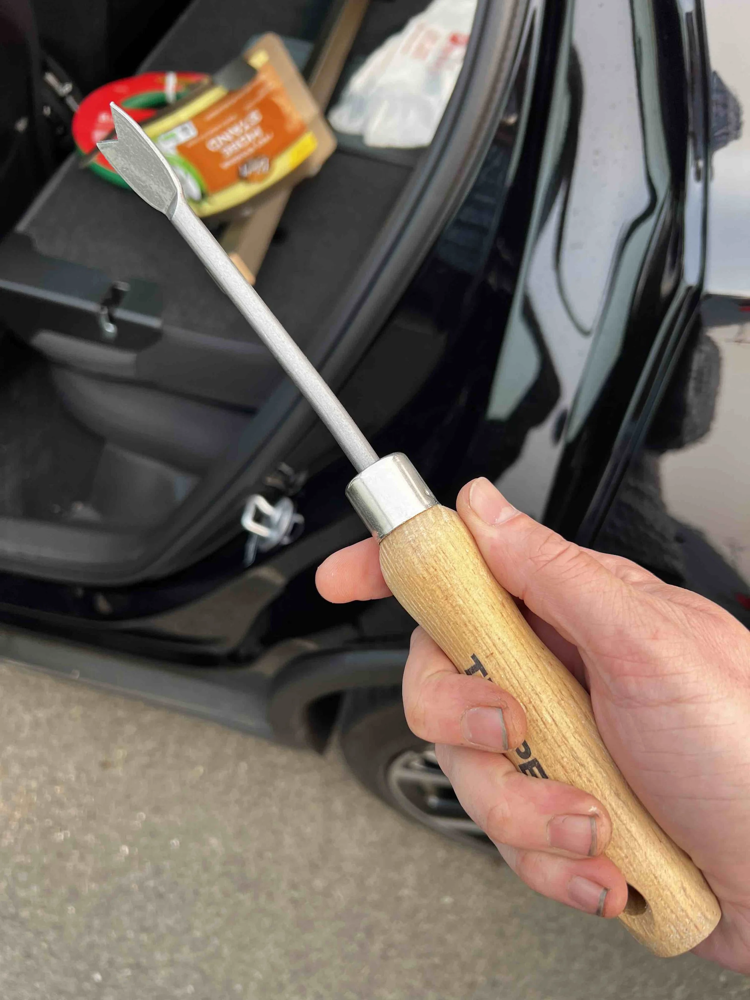 0090 - dandelion weeder