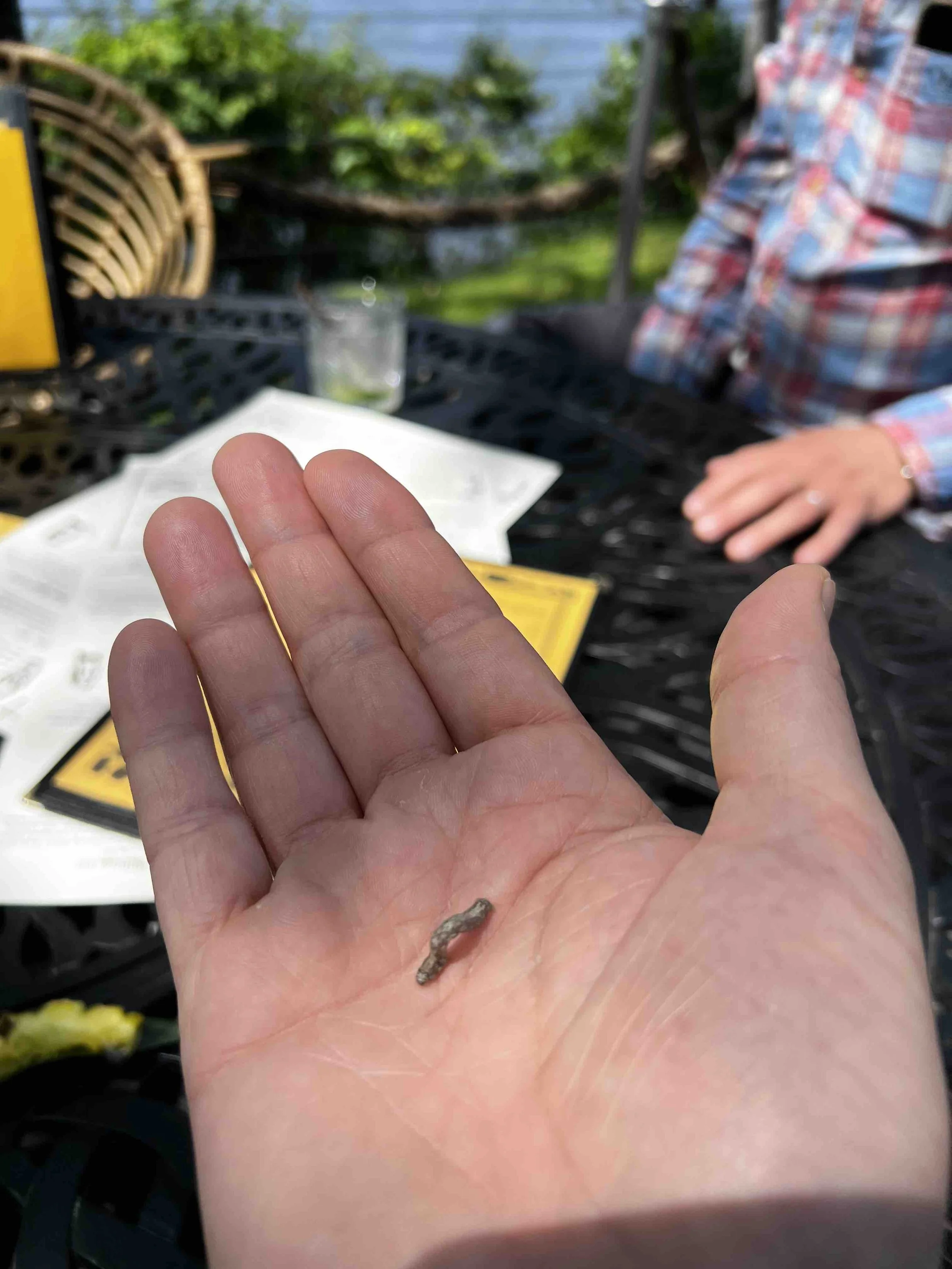 0158 - inch worm