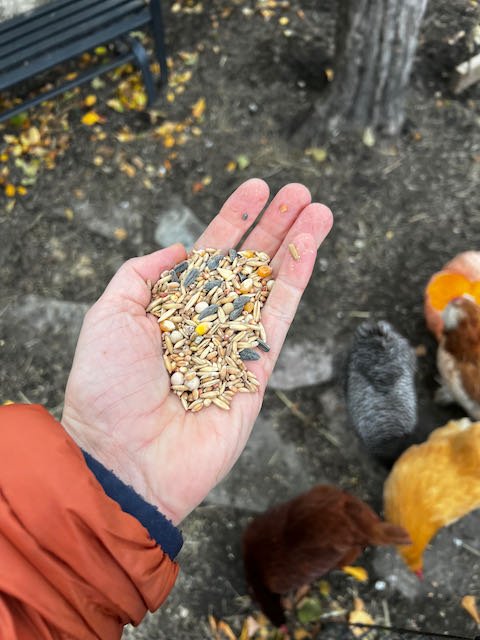 0730 - handful of scratch