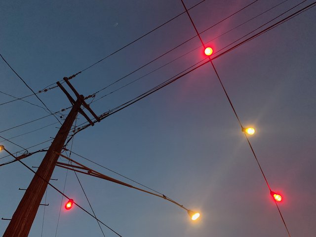 IMG_3545.jpeg