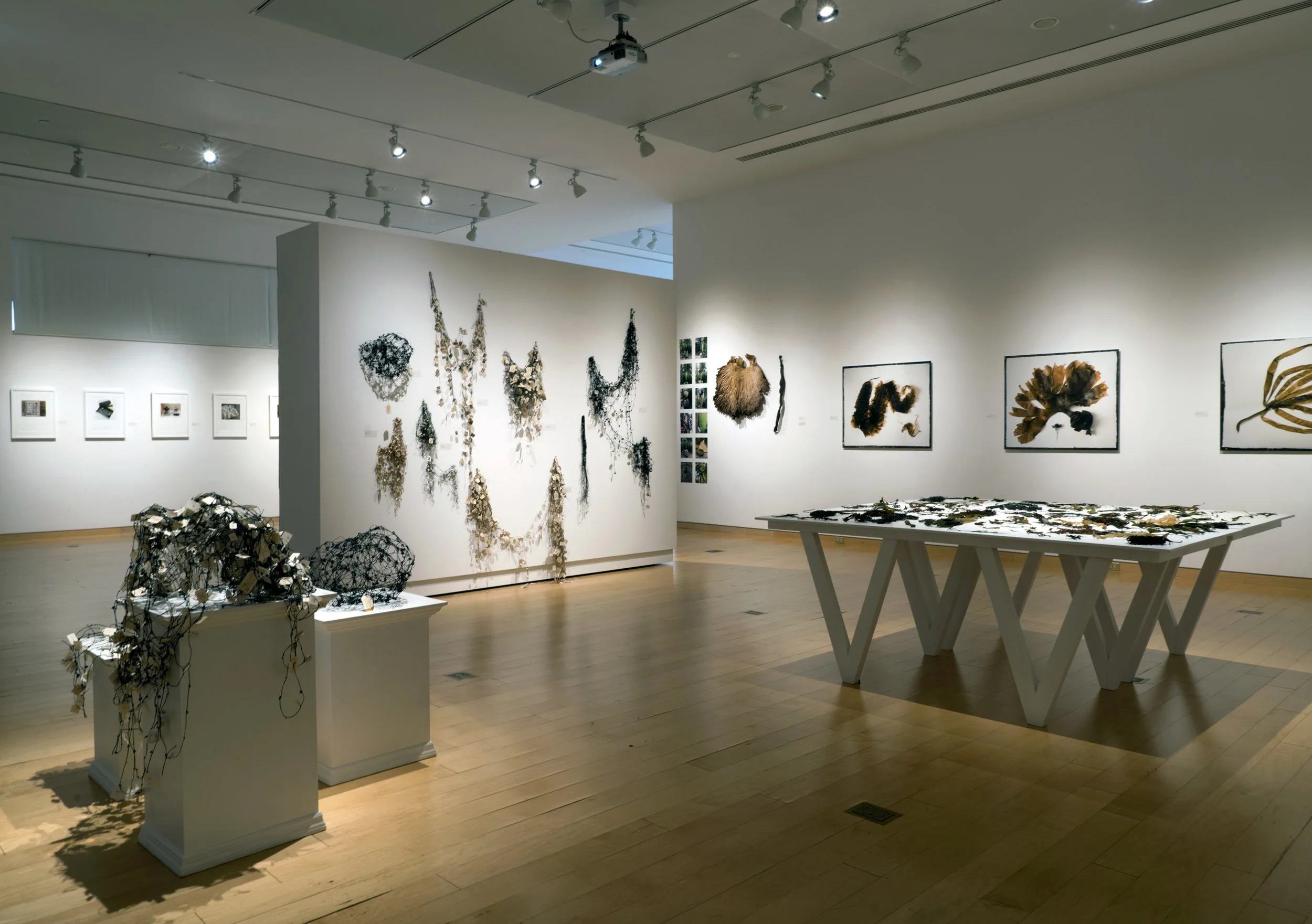 Installation view, 2018