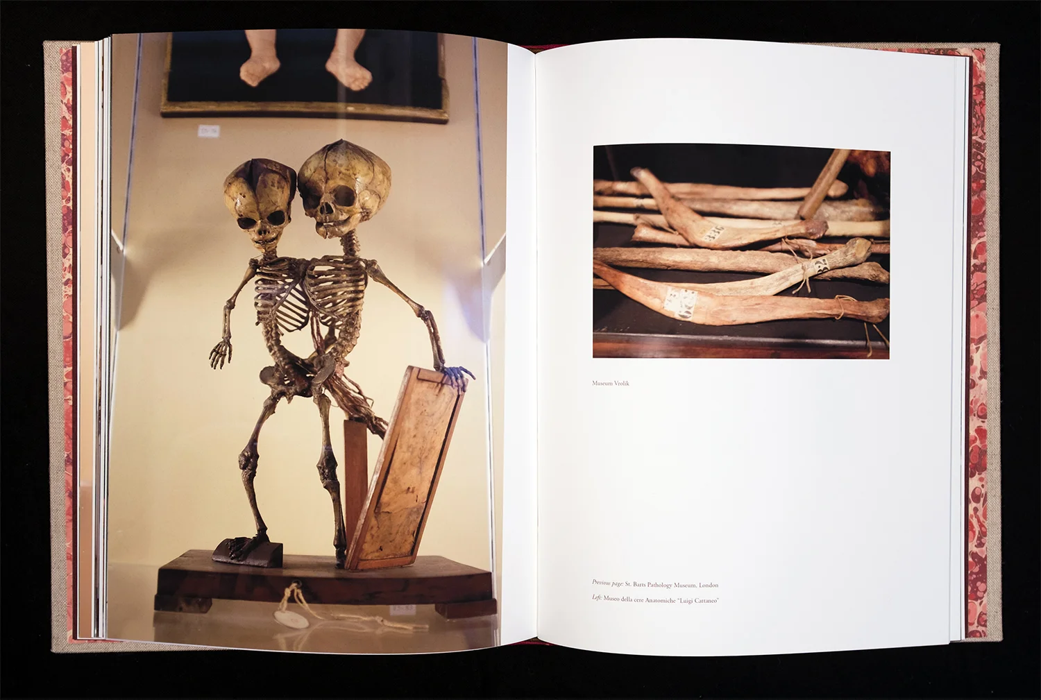 Anatomy Collected , 2016, 11x8.5x.75, mixed materials, words and images by artist