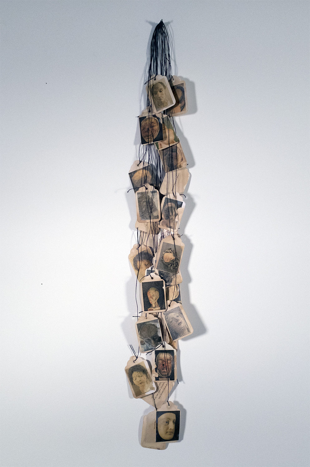 Notes on Humans , 2016, 29.5x4.5x2 in., Mixed materials