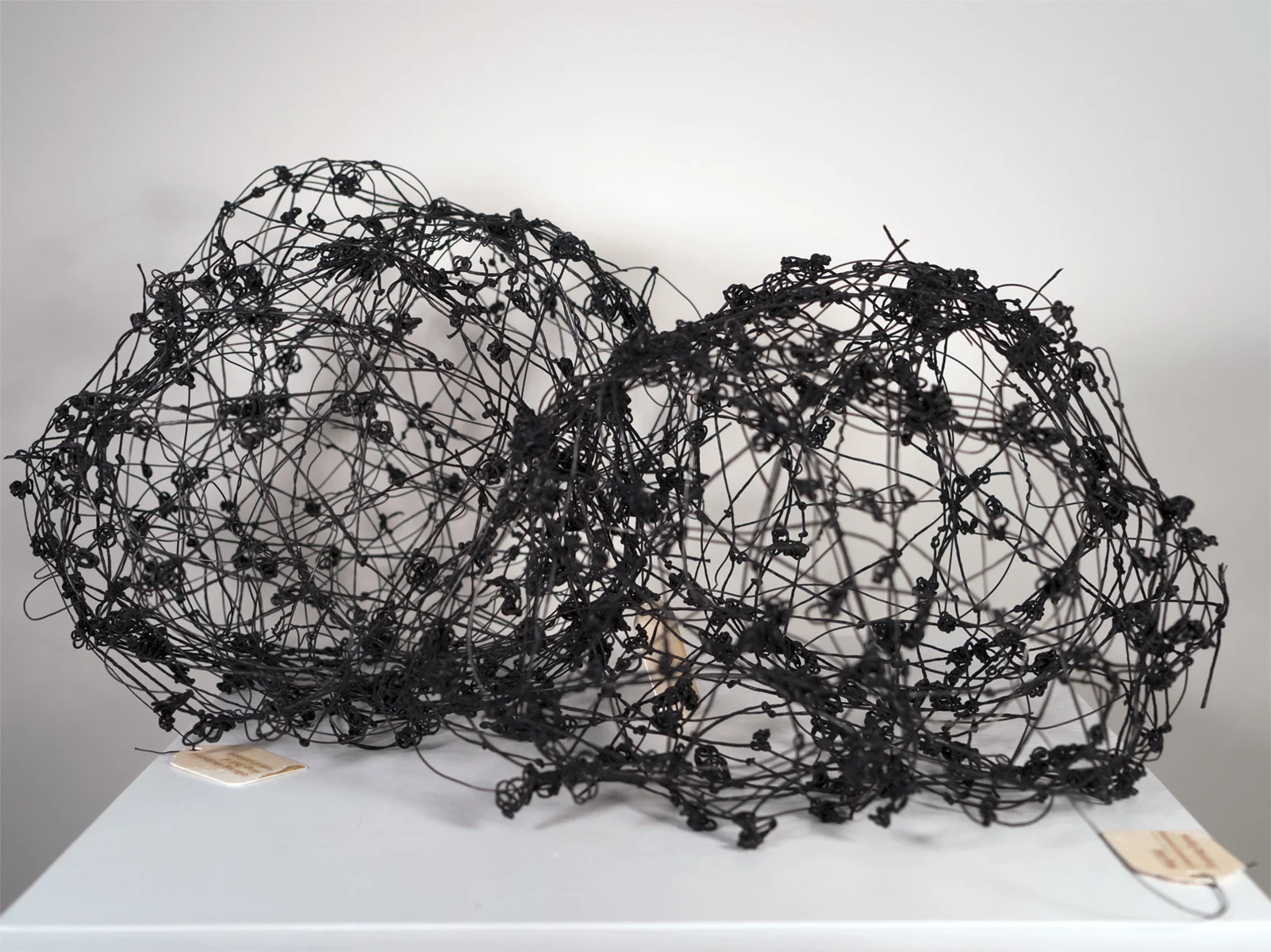 Neurons , 2018, 24x17x12 in., Mixed materials