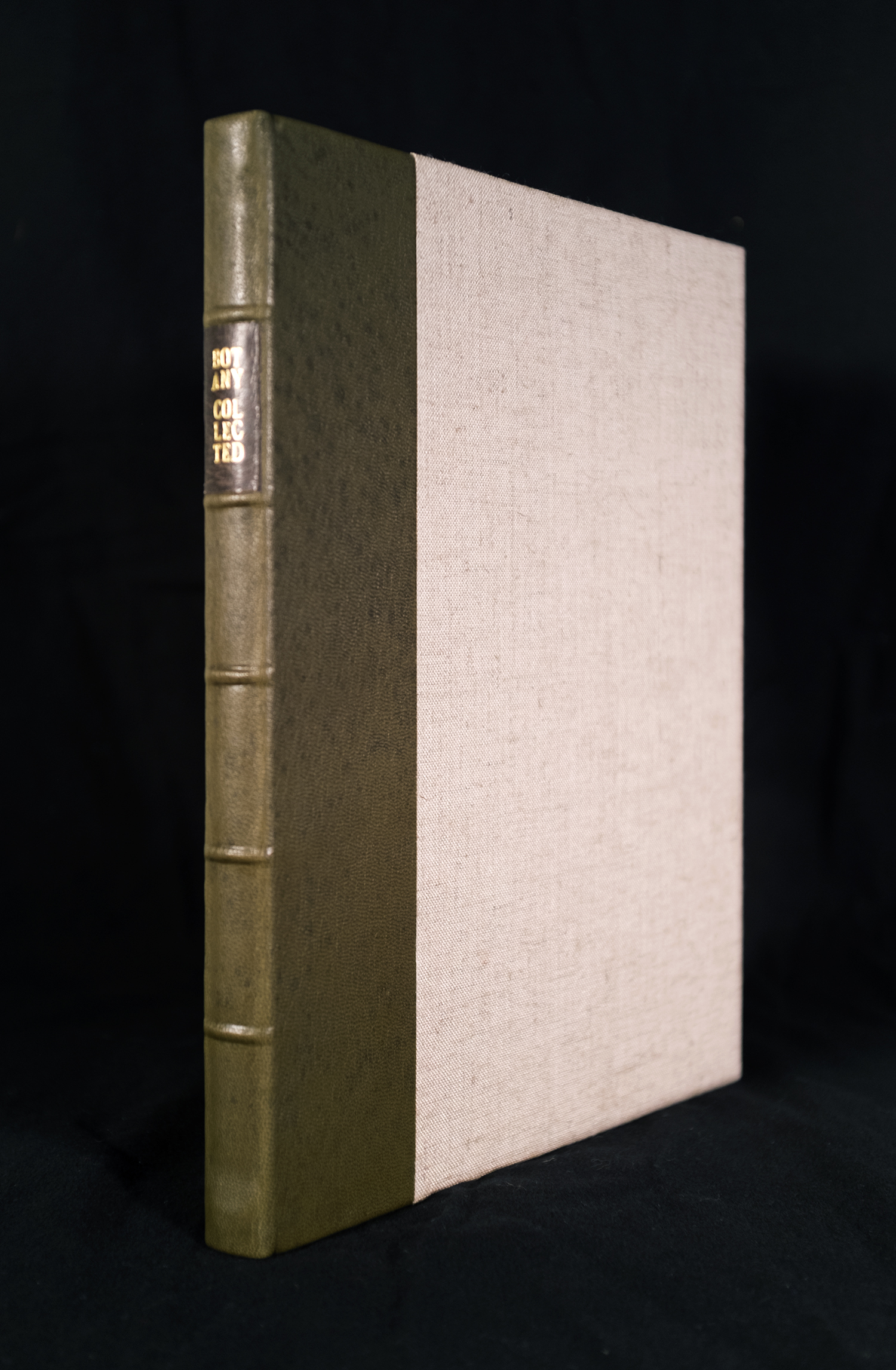 Botany Collected , 2016, 11x8.5x.75, mixed materials, words and images by artist; binding by Mary Uthuppuru