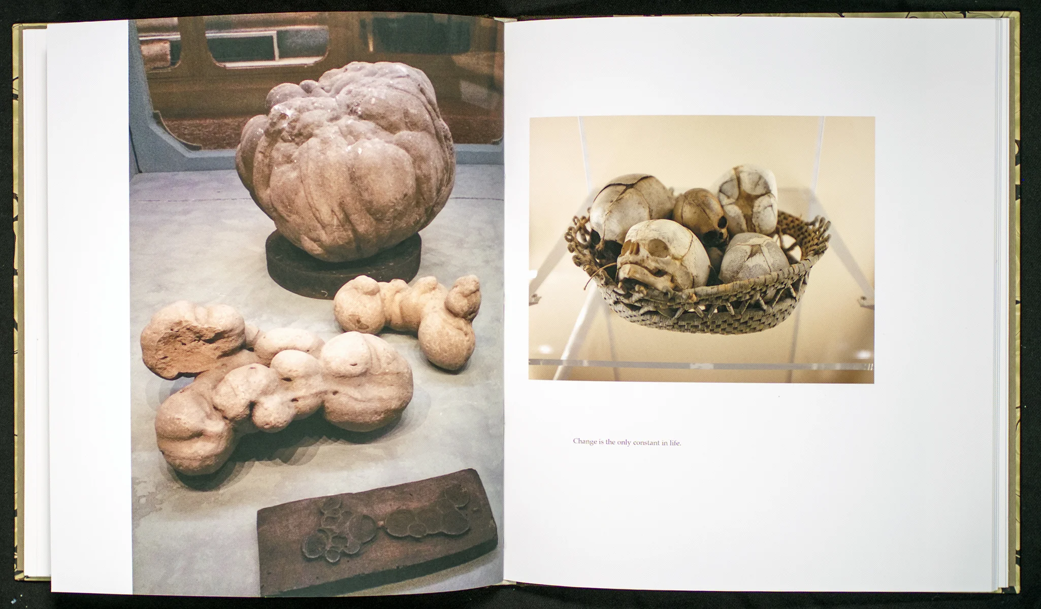 Growth and Decay , 2015, 9.25x8.25x.5, Mixed materials, words and images by artist