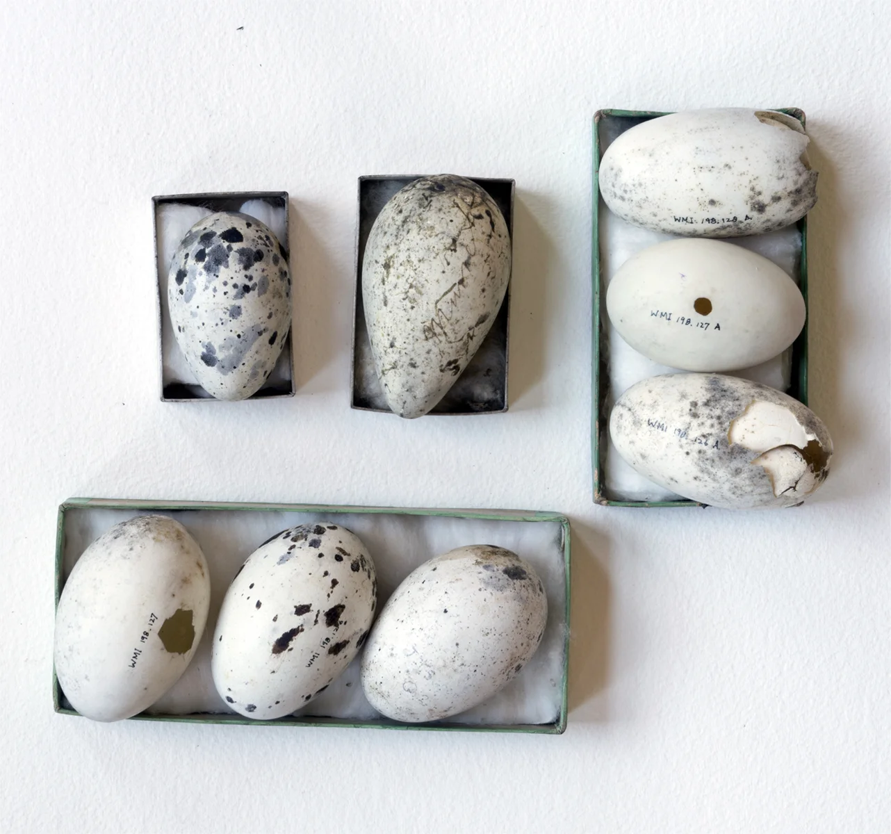 Eggs , 2018, Archival inkjet print