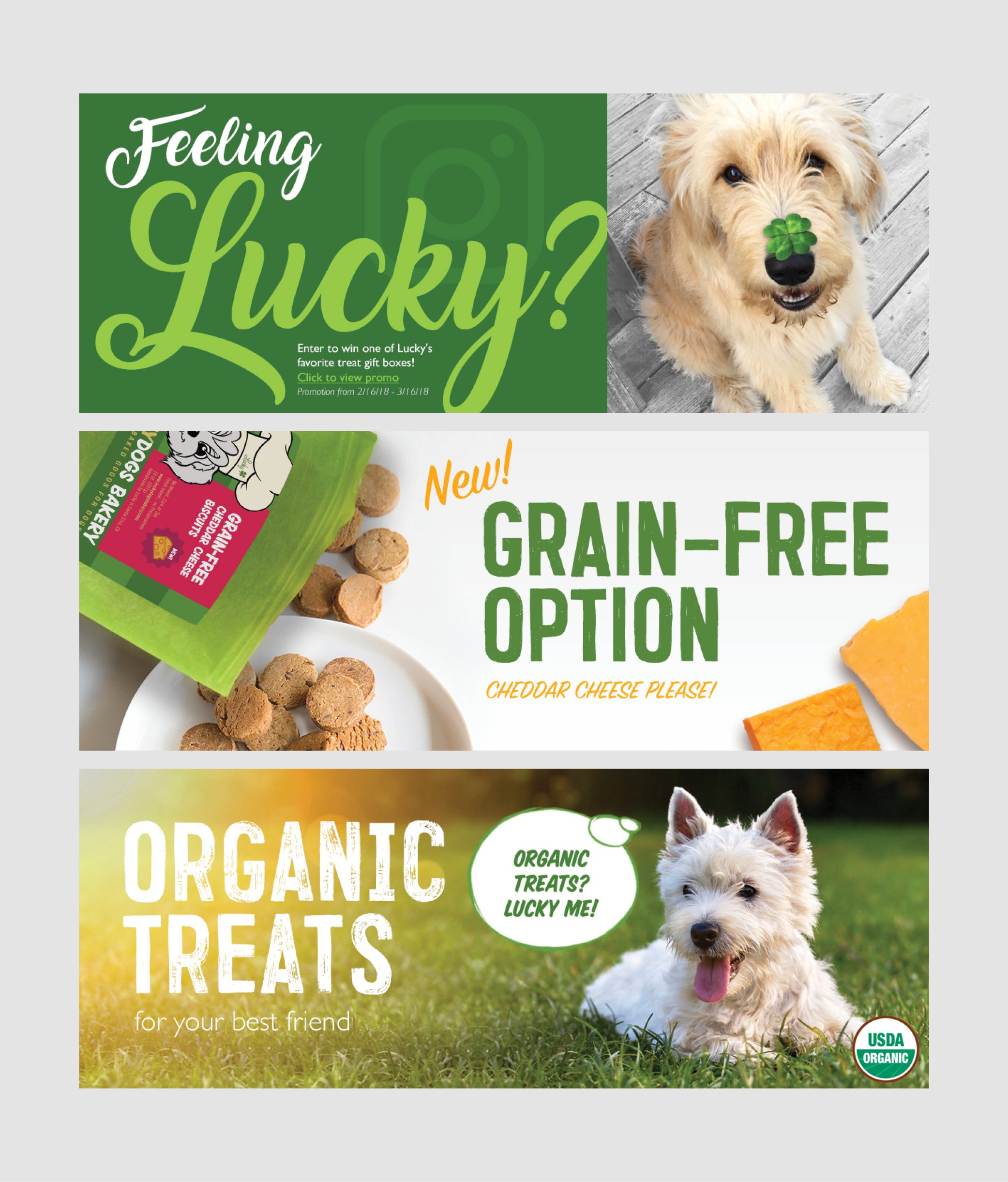 Luckydogs5-V2.jpg