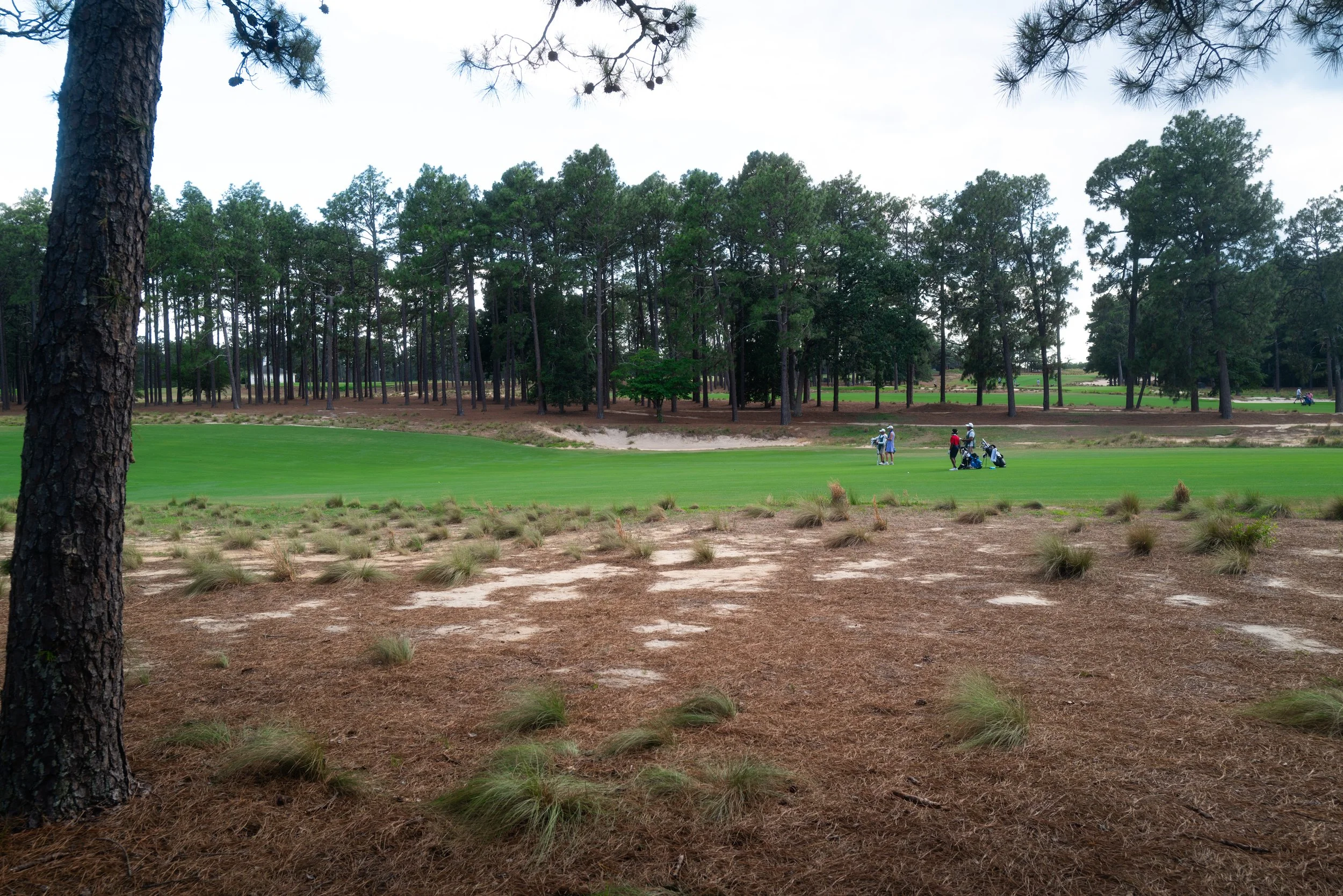 Pinehurst Trip179.jpg