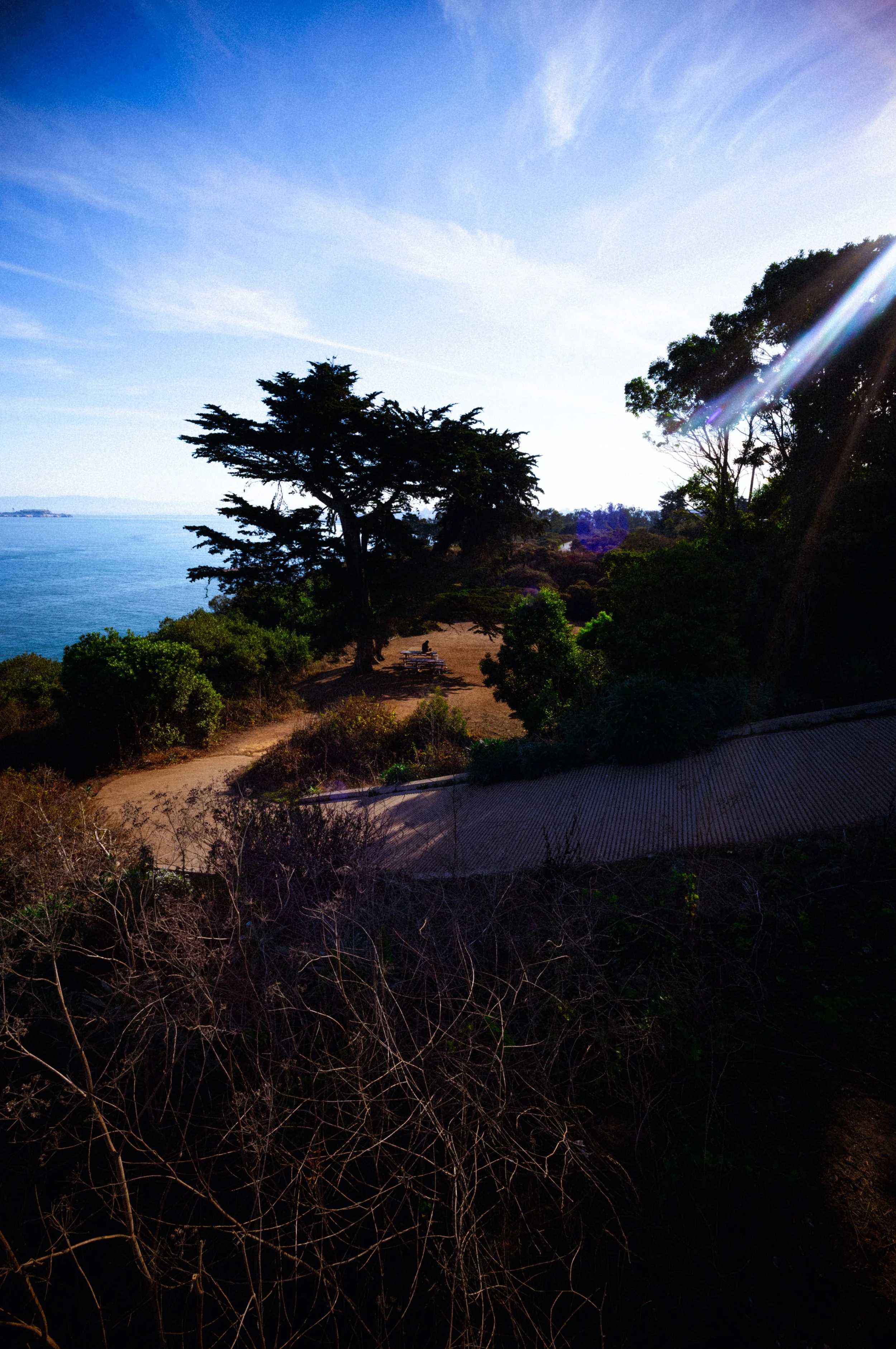 Bomani X portrait image 2