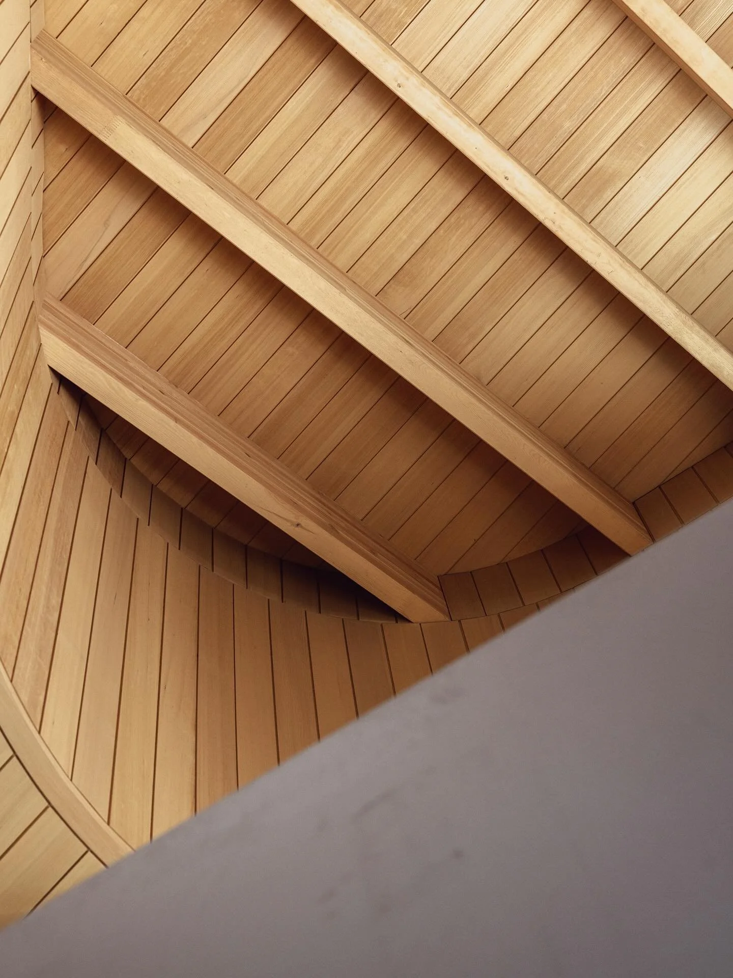 These snippets of the ceiling are just a taste of what&rsquo;s to come on this very special home.  Final stages almost complete. 

Architect @battersbyhowat
Photos @dalinphoto
[3/3]