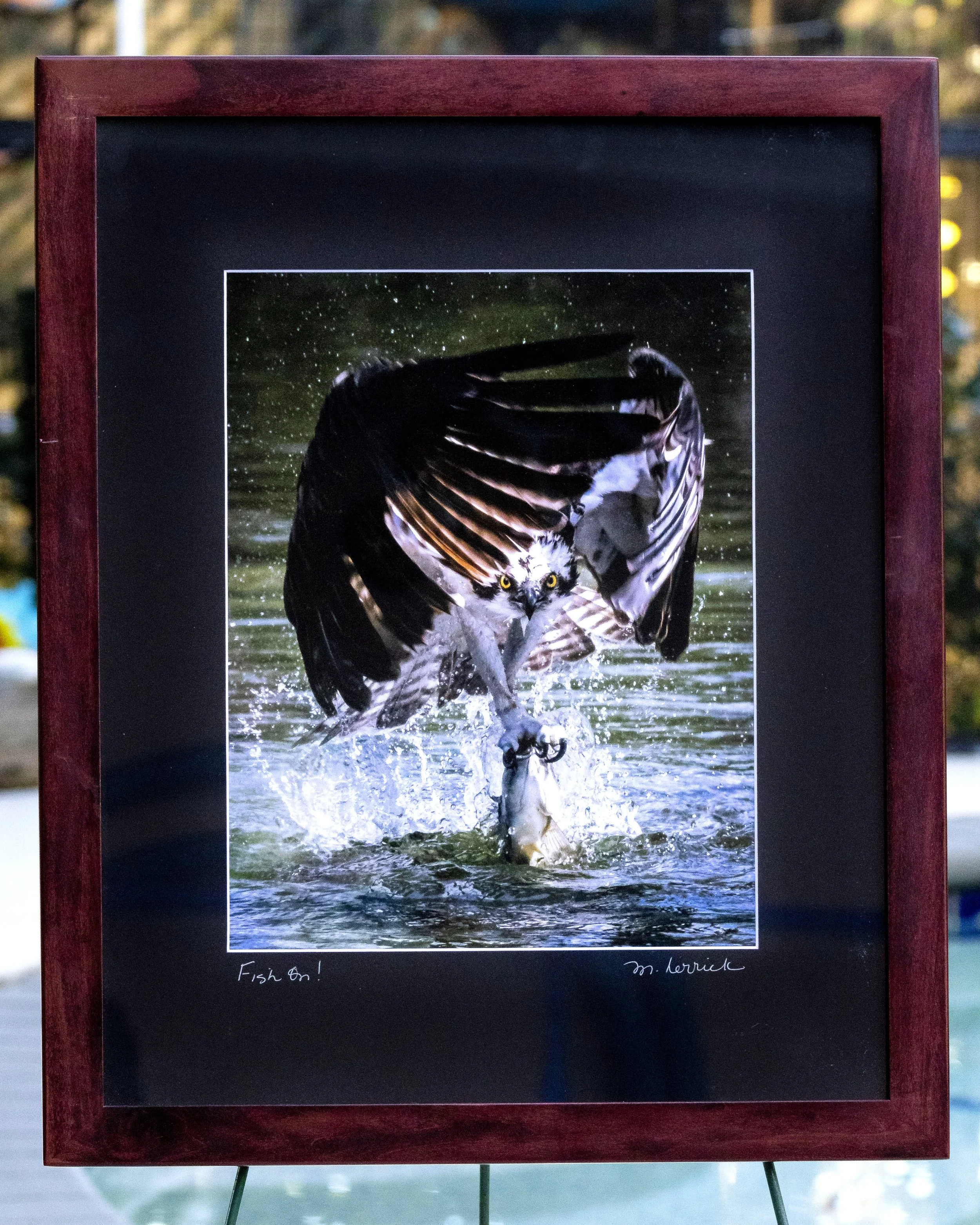 Fish On! by Mickell Herrick