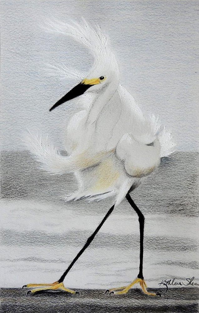 Stormy Egret by Kathleen Slaven