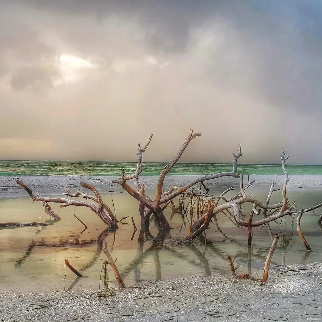 Scenes of Clearwater by John Homer