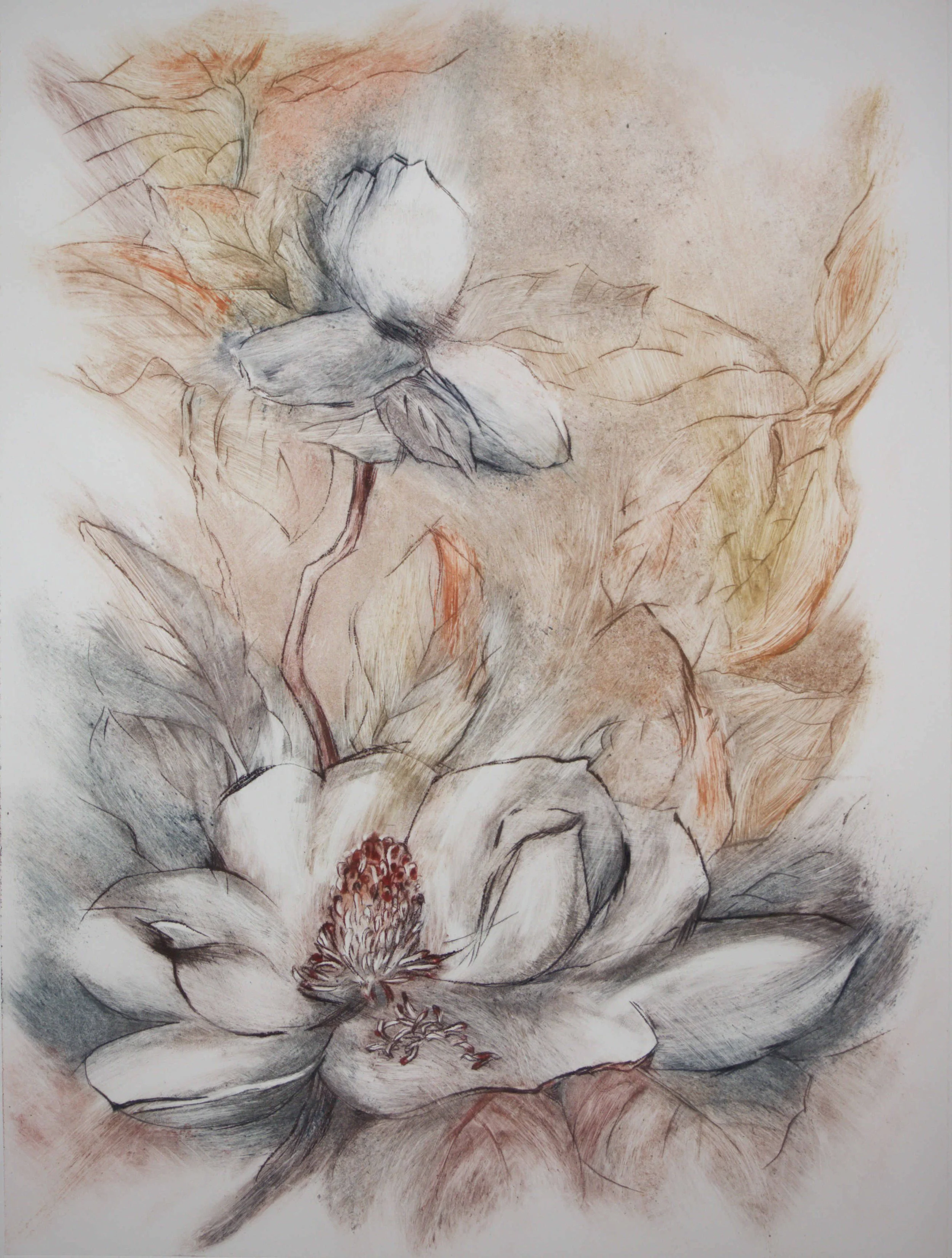 Simple Magnificence by Mary-Helen Horne