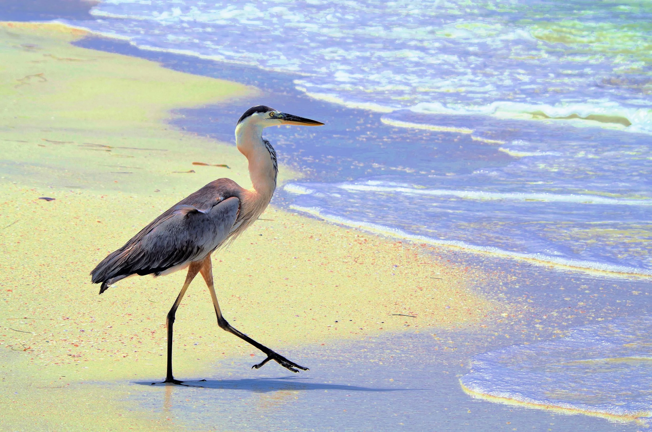 The Walk by Stoney Lawrentz