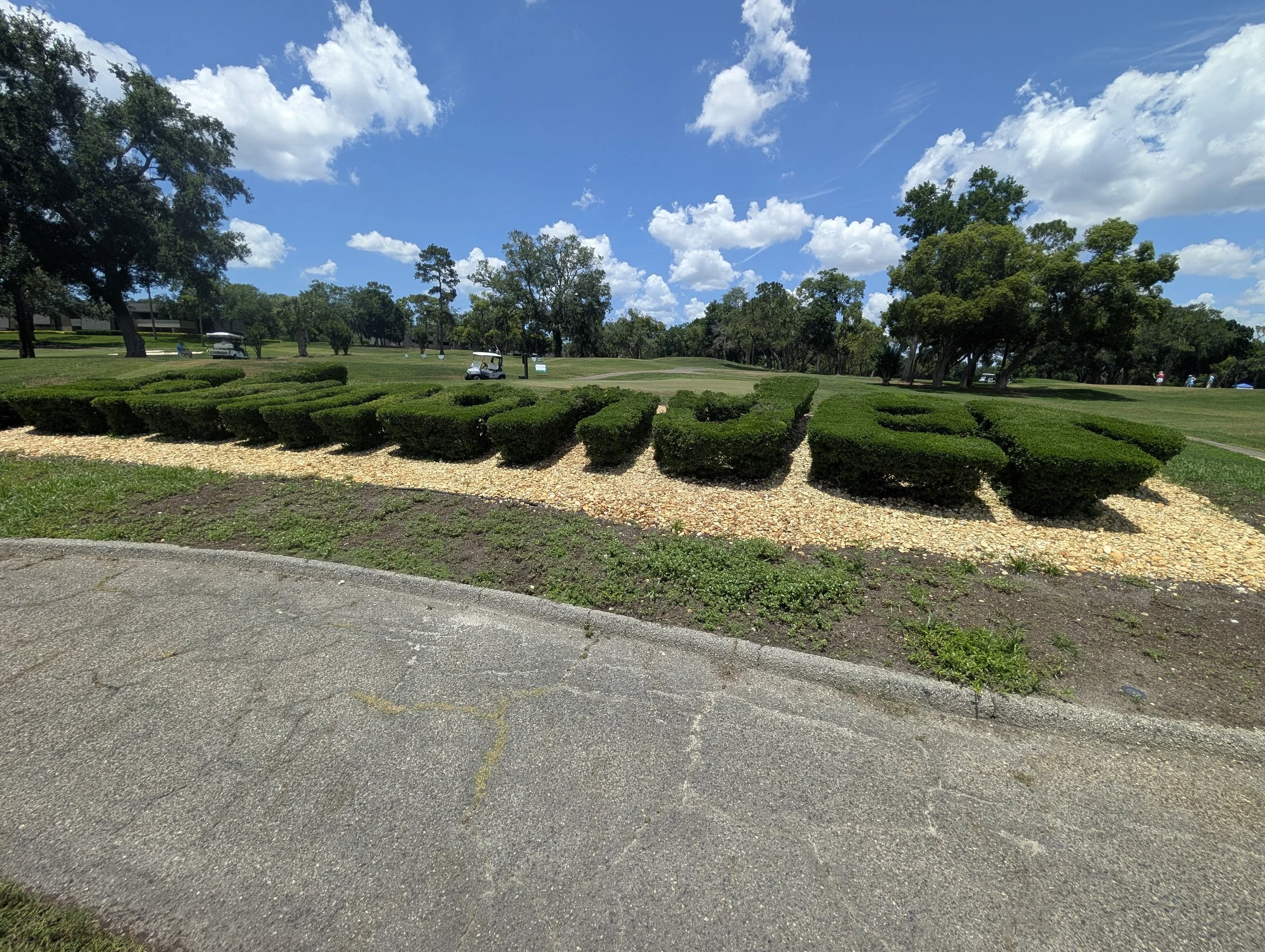 PXL_20260518_175218172.jpg