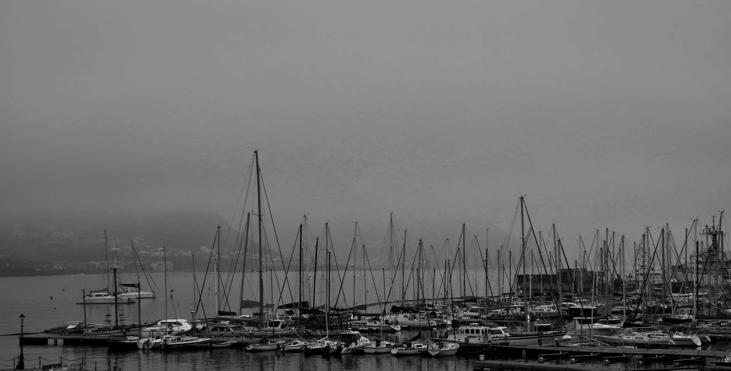 Diana Crisler - Possibilities