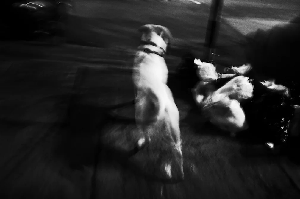R0000679.JPG