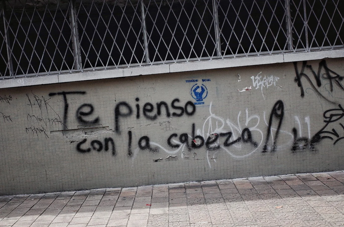 R0002803-01.jpeg
