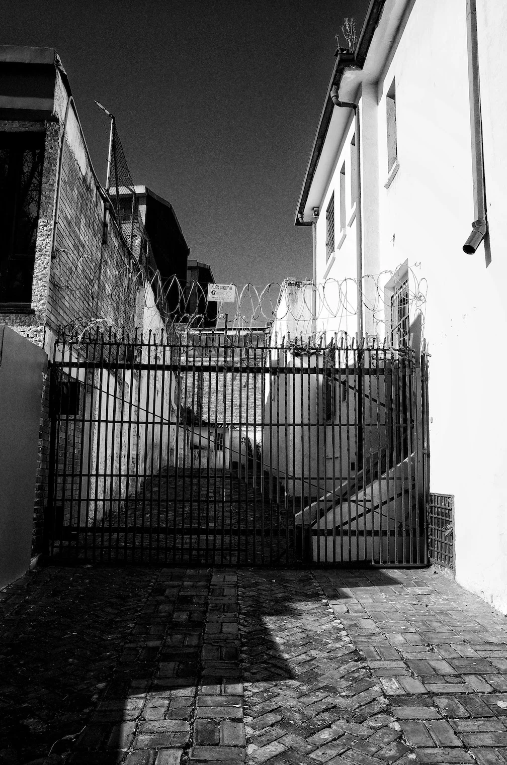 R0001804-01.jpeg