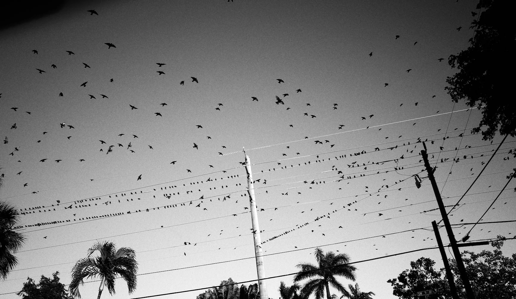 R0003659-01.jpeg