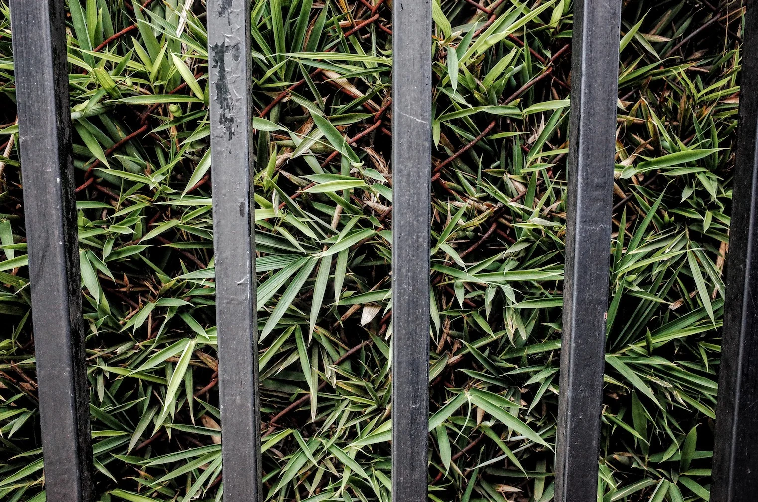 R0004190.JPG