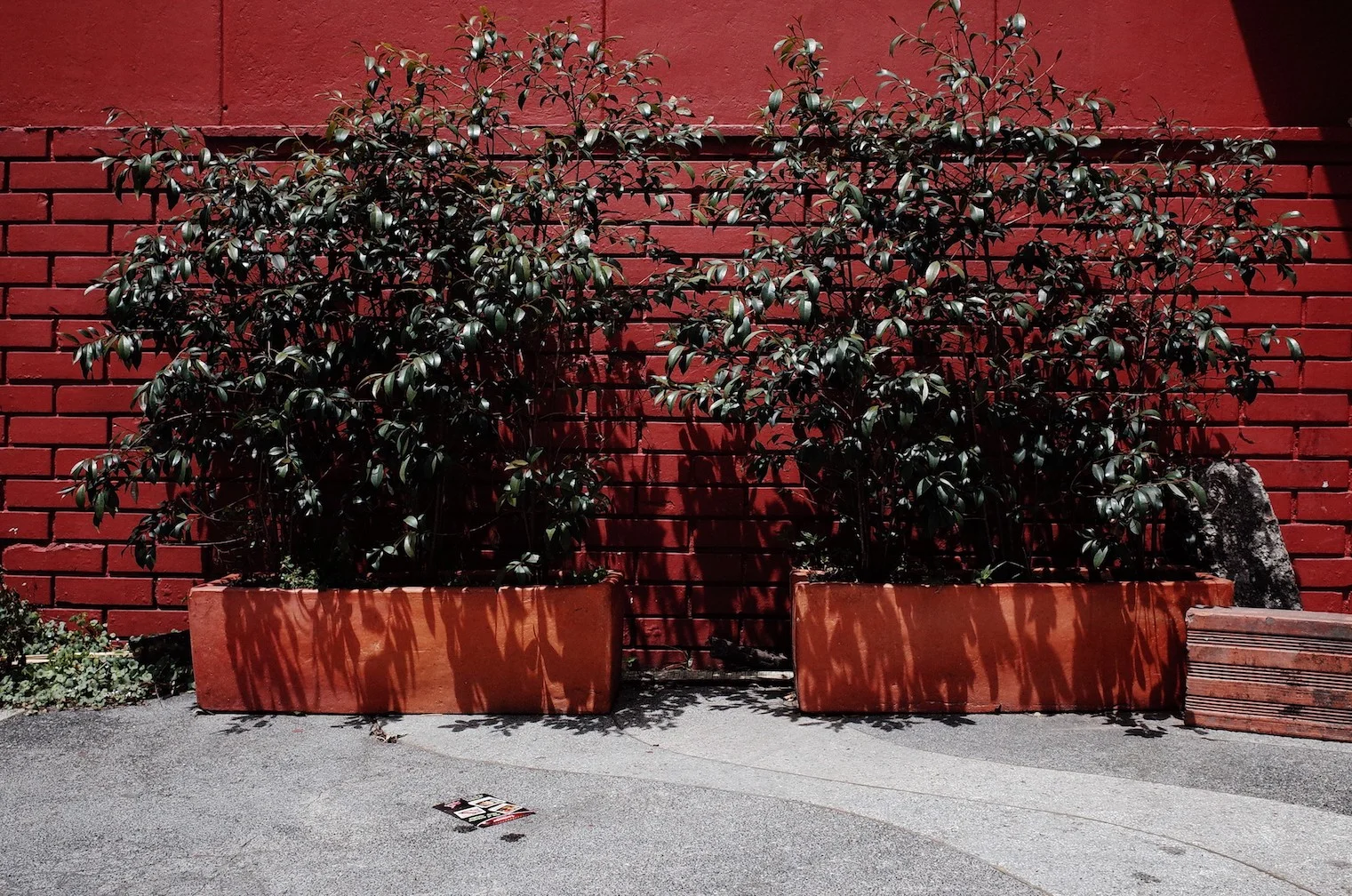 R0004243.JPG
