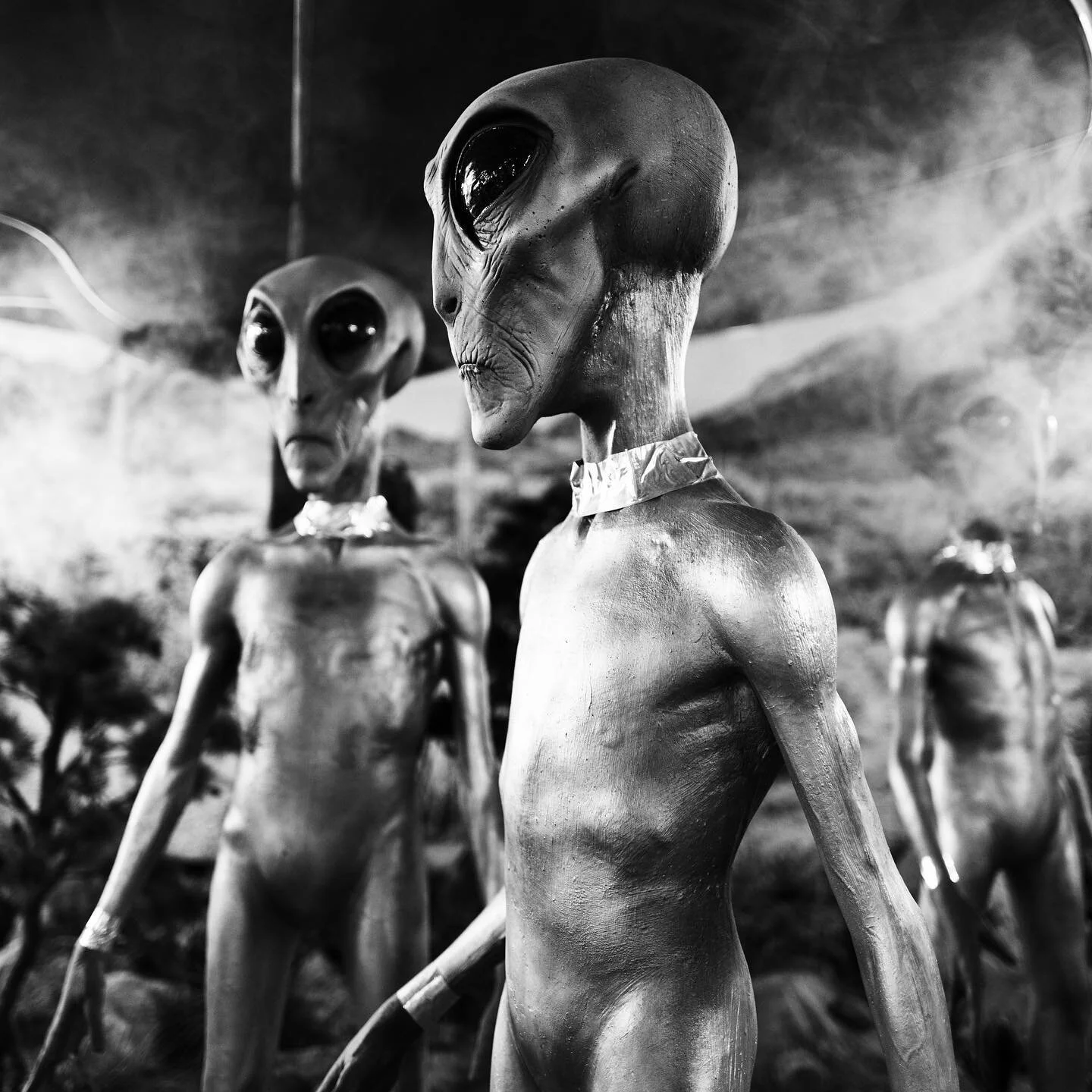 🛸 #aliens #ufo #marsattacks #streetart