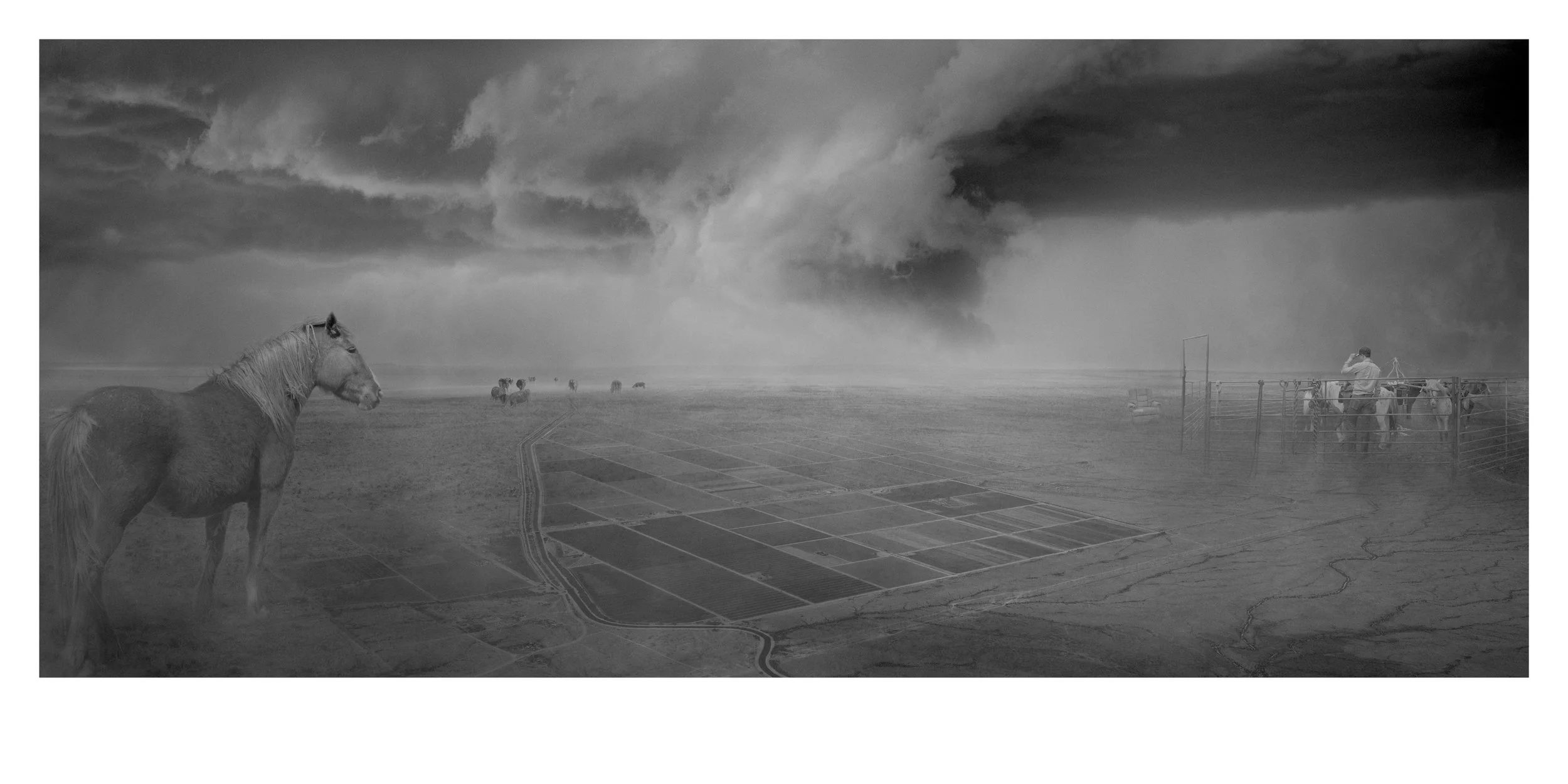 RYLEE MOORE  PONY FARM 20X40 V3.jpg