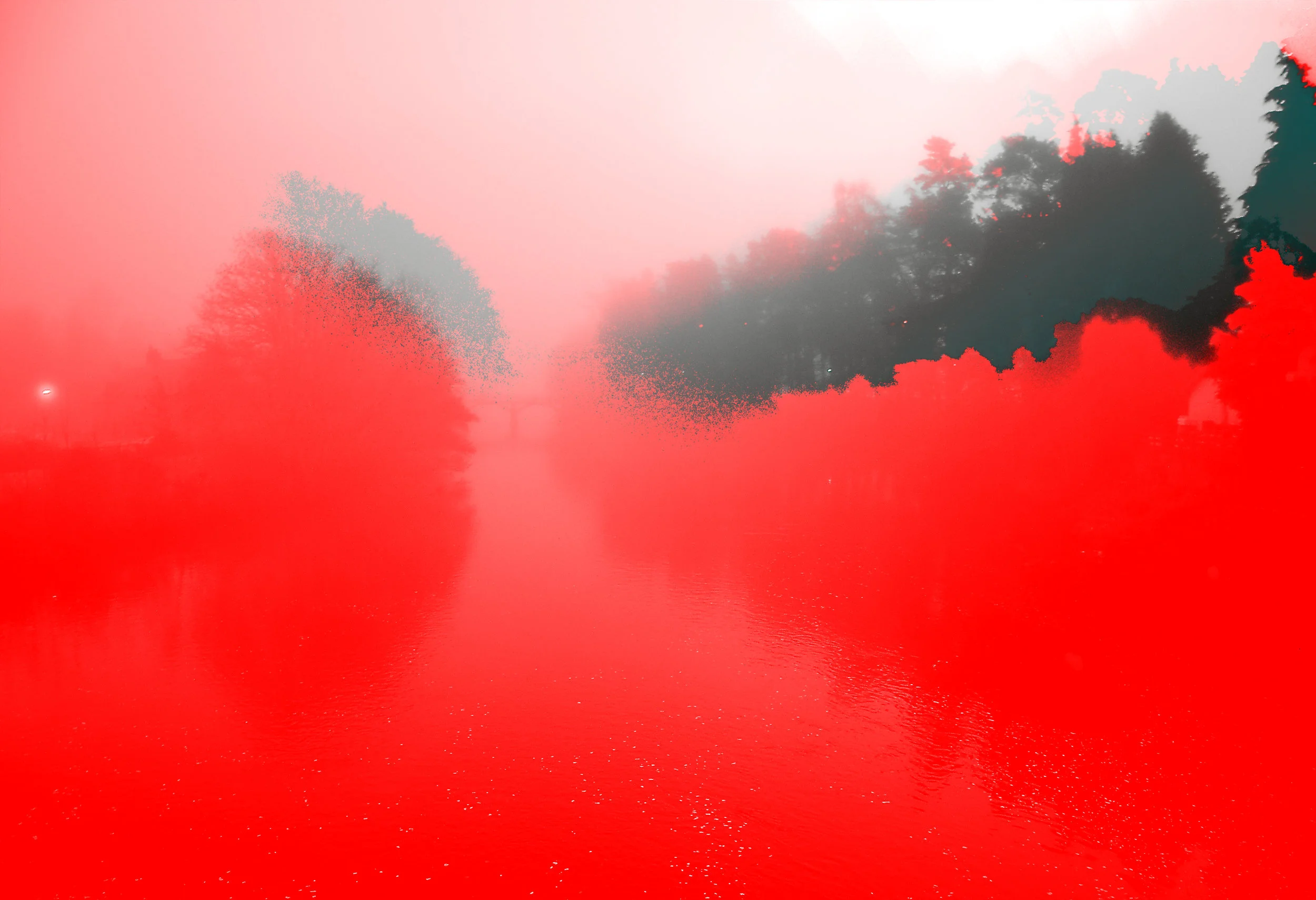 red01.jpg