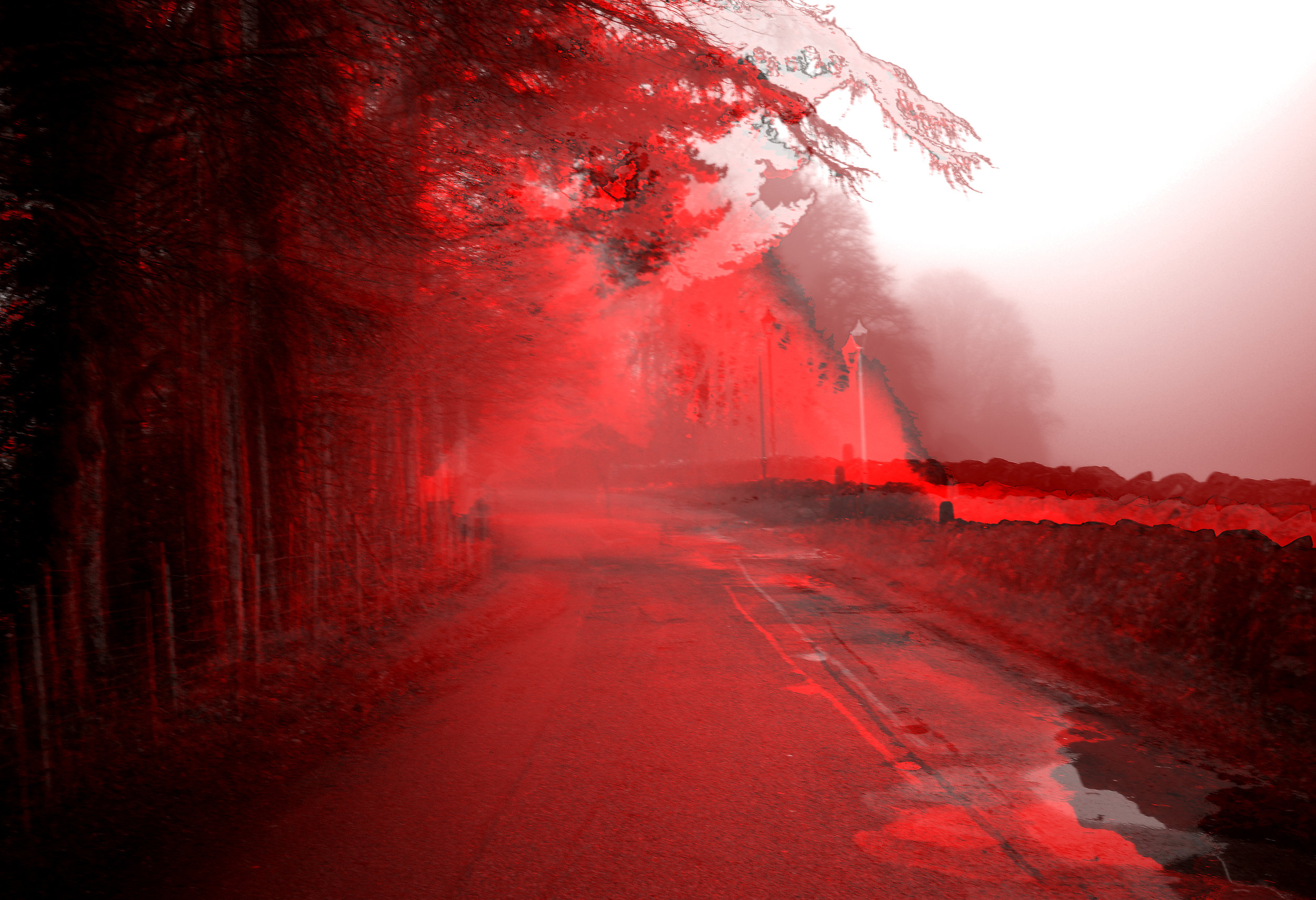 red06.jpg