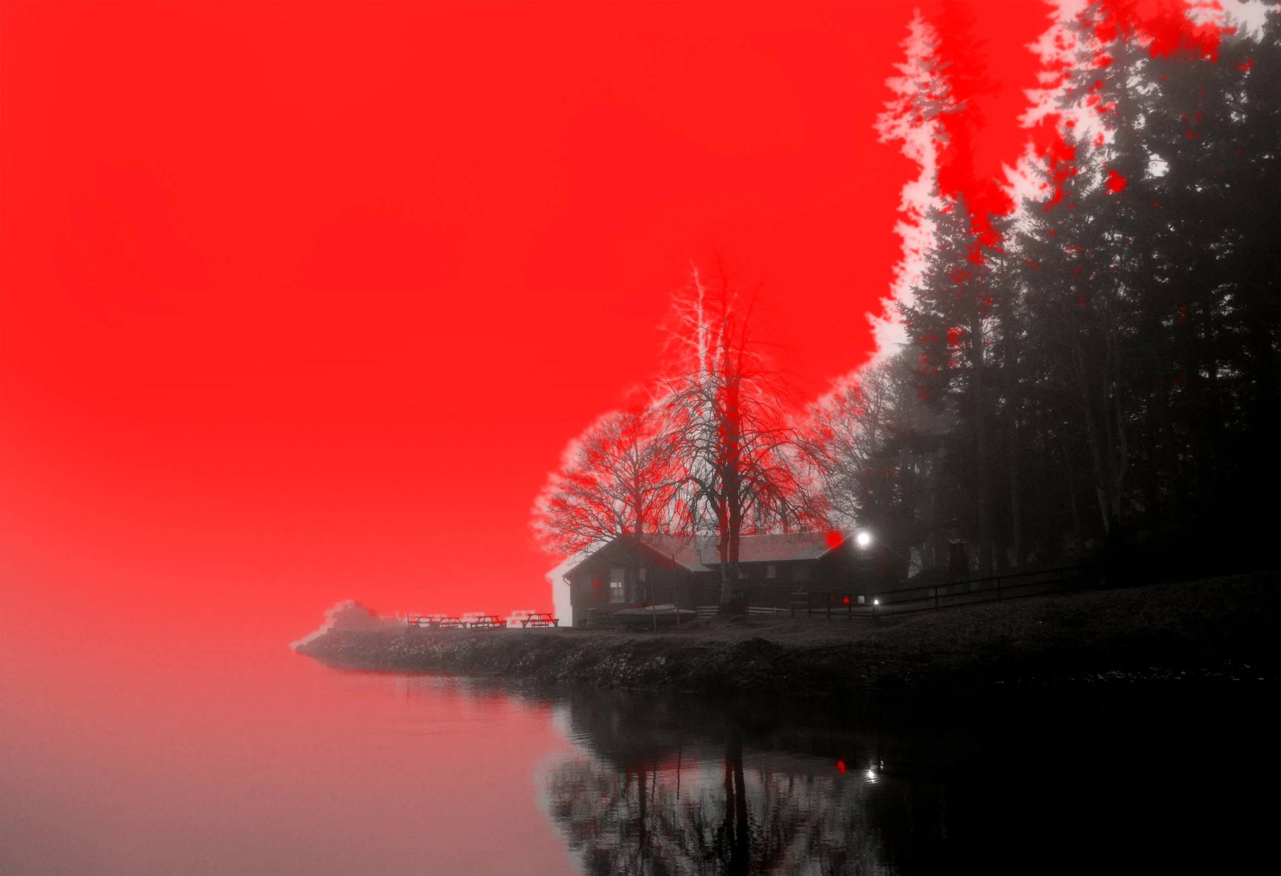 red05.jpg