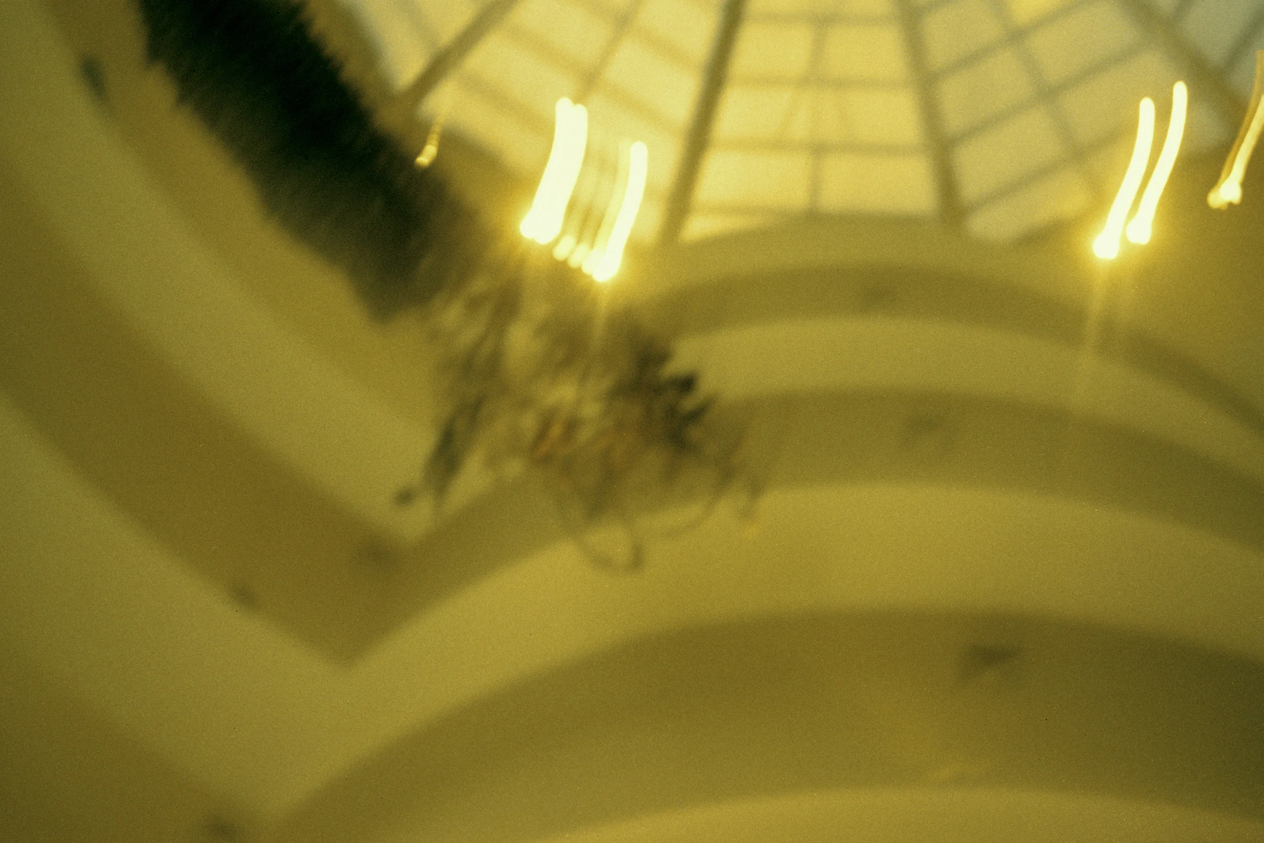 guggenheim05.jpg