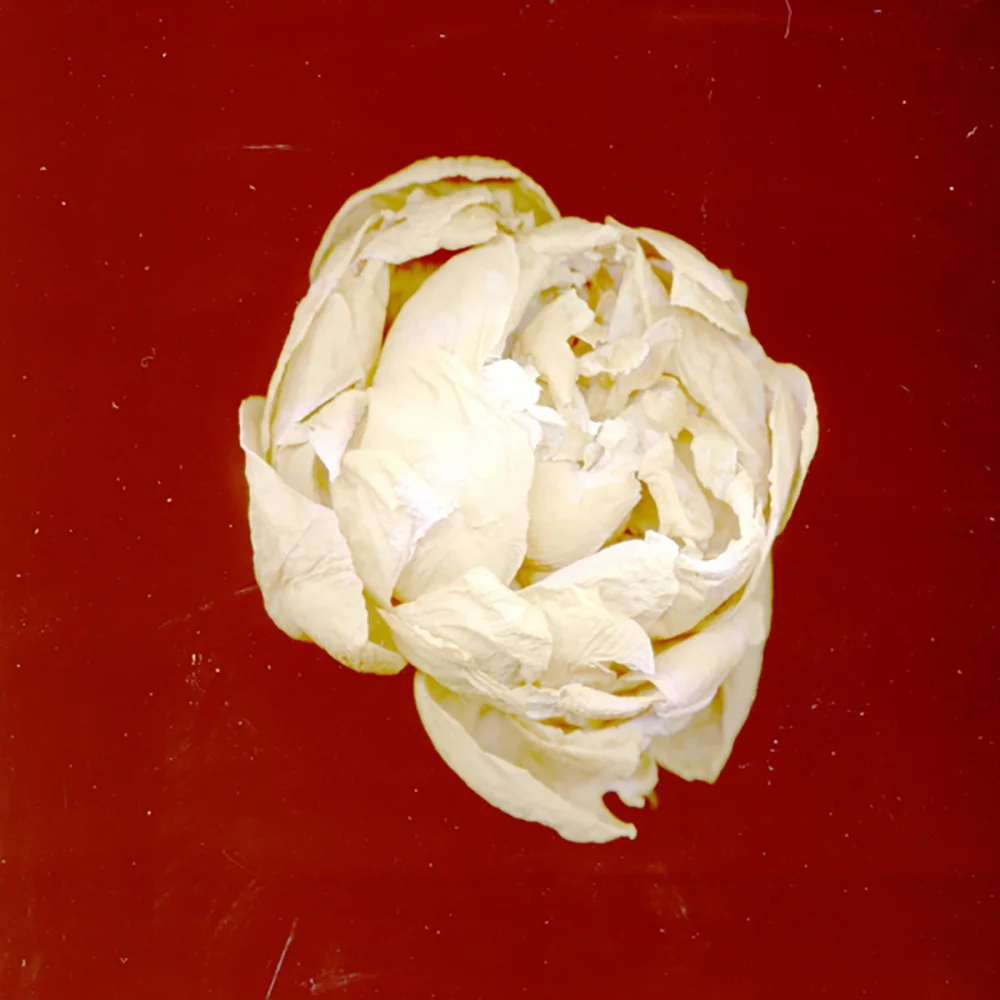  24h x 24 x 3d  $350  032-A  ________________________  36h x 26w x 3d  $500  032-B  ________________________  48h x 48w x 3d  $720  032-C       Contact Us Here for Purchase   