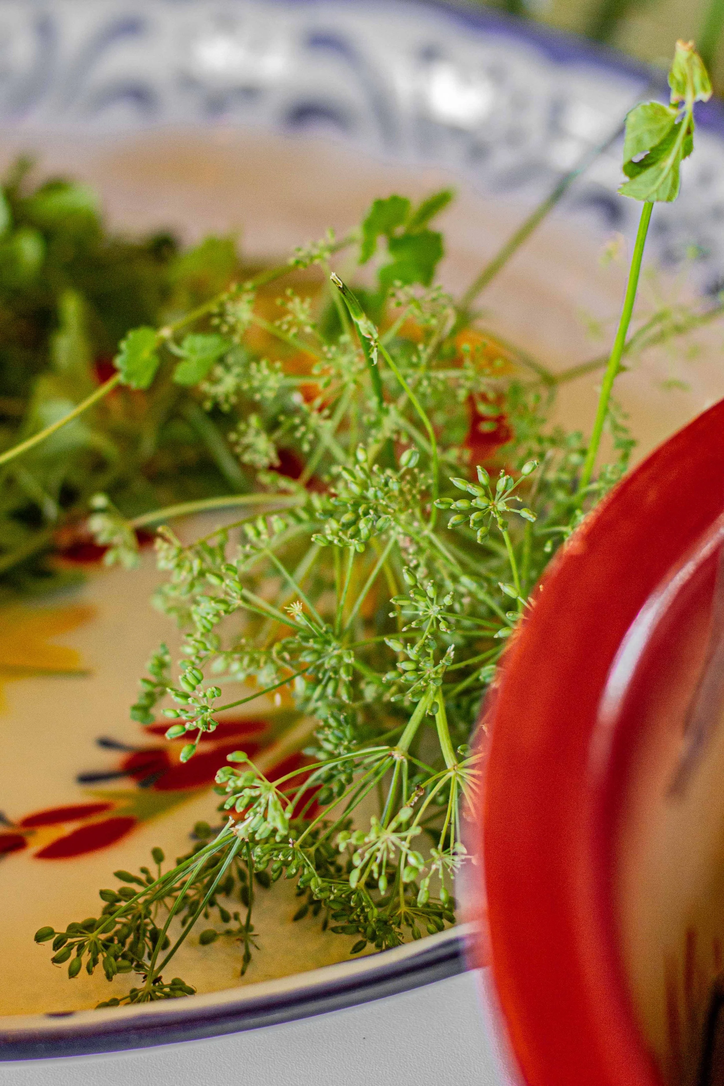 062026_CulinaryRetreat_web_38.jpg