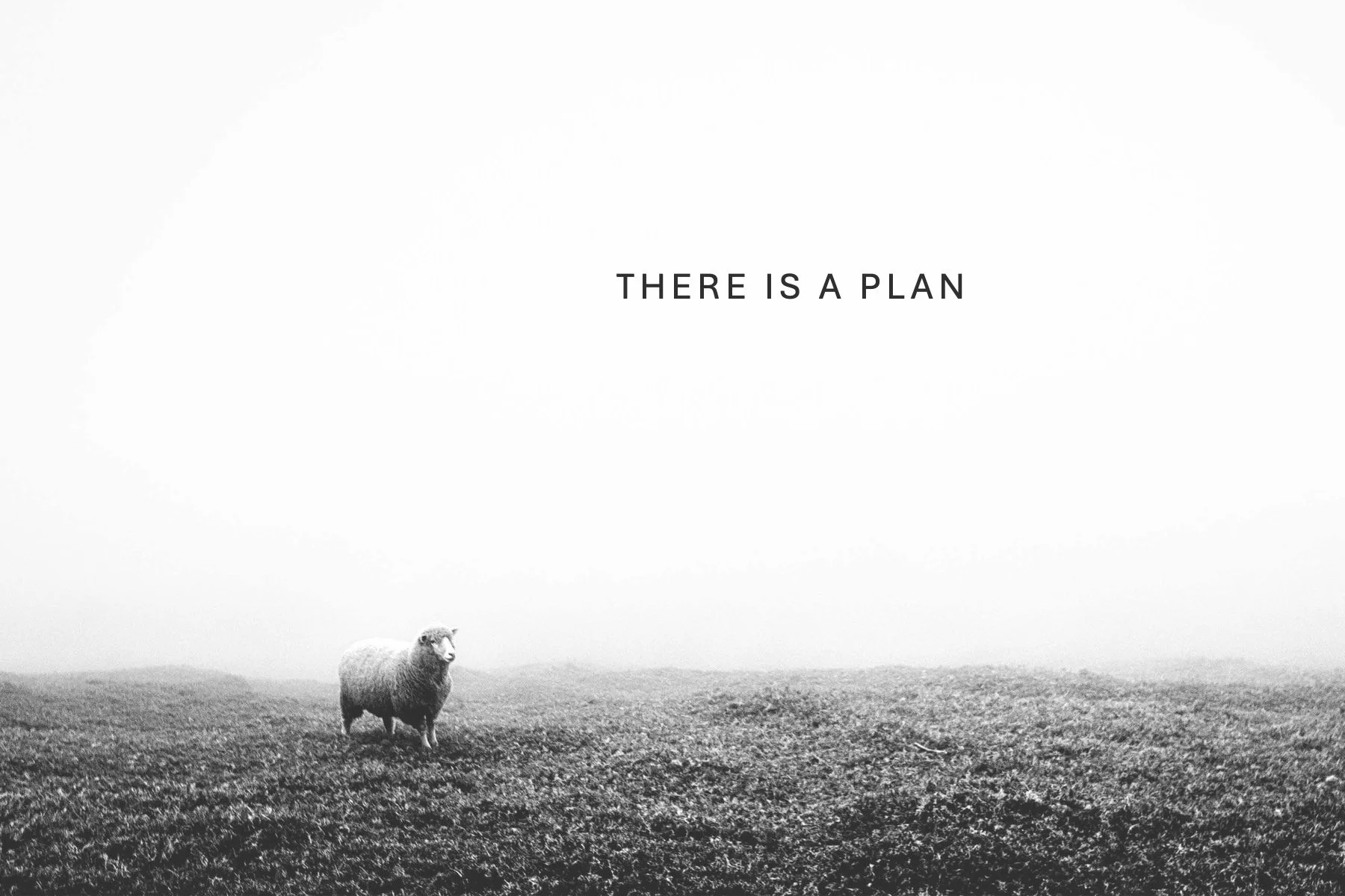 Jesus enters Jerusalem