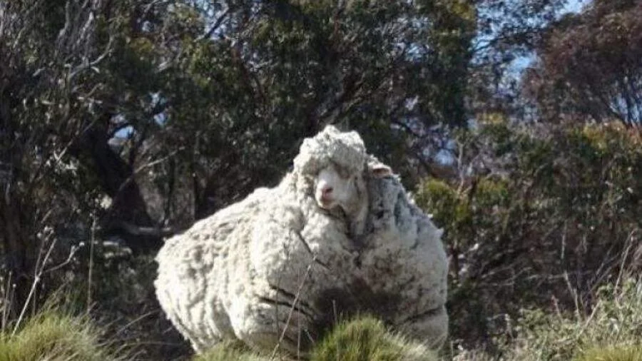 God's upside down kingdom: The preciousness of lost things