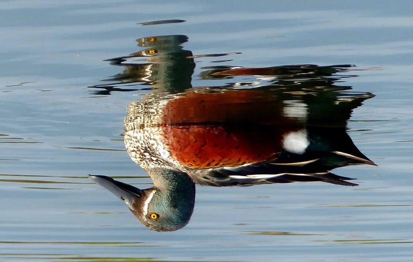 God's upside down kingdom: The Cost of Freedom