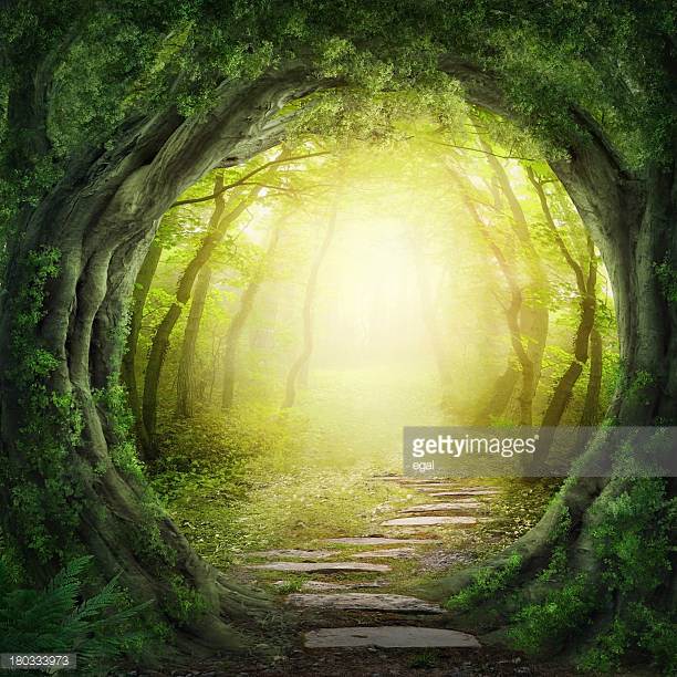 Photo by egal/iStock / Getty Images