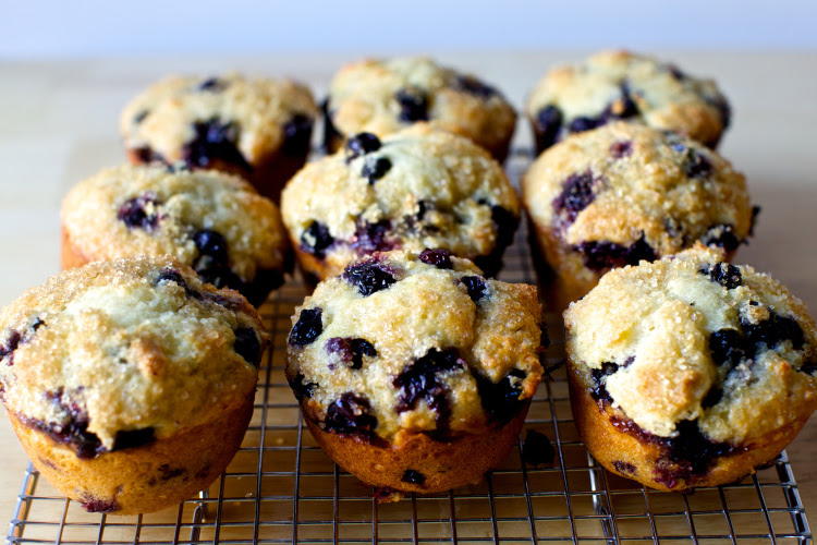 The Perfect Blueberry Muffins
