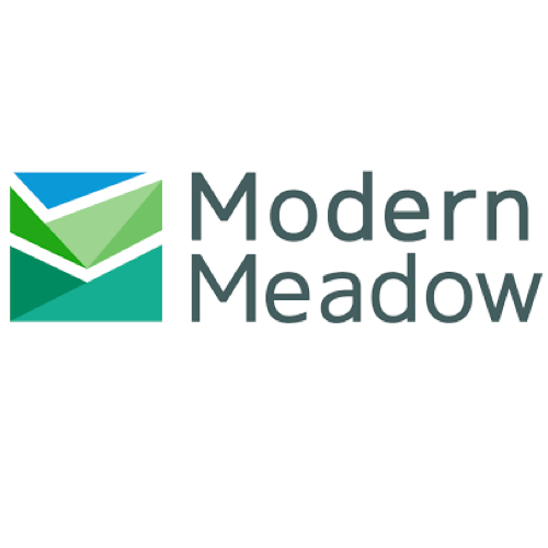 Modern Meadow