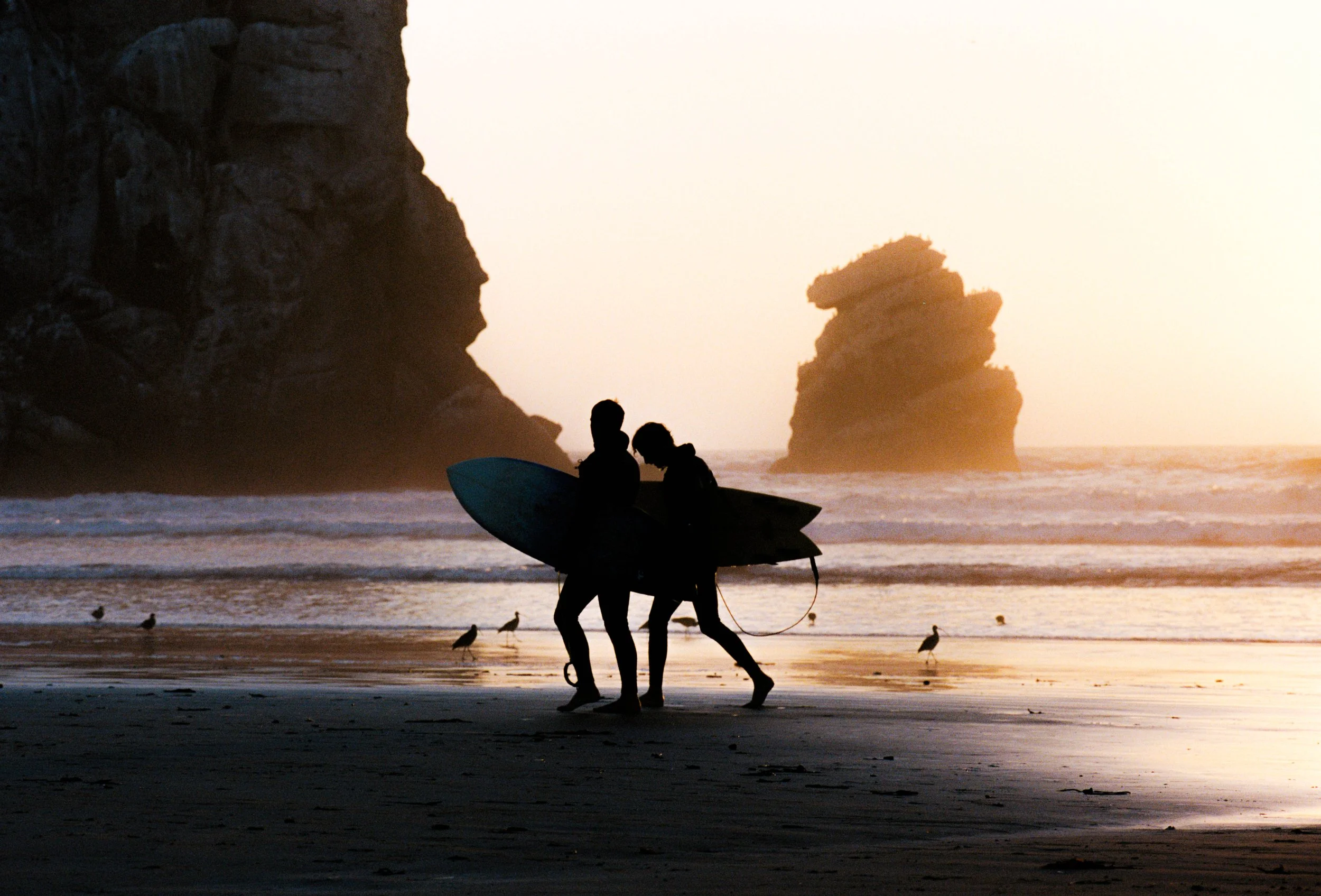 MORROBAY_SEPT2026_V1-15.jpg