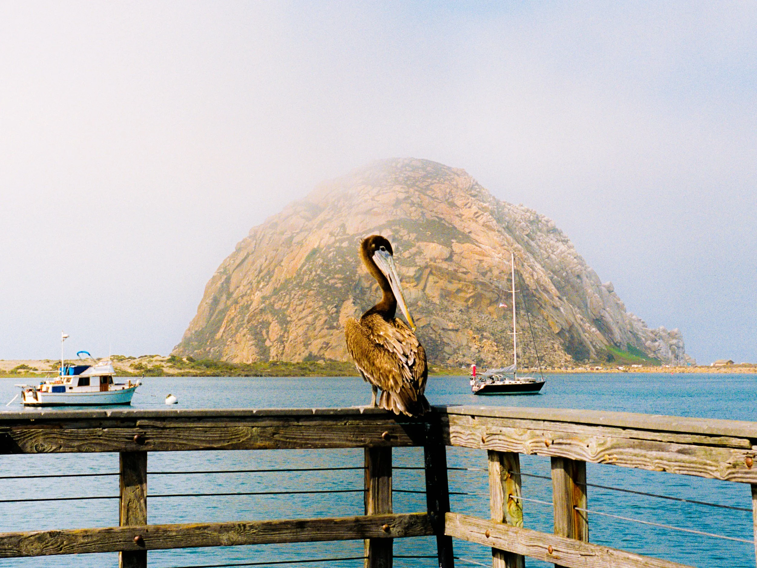 MORROBAY_SEPT2026_V1-20.jpg