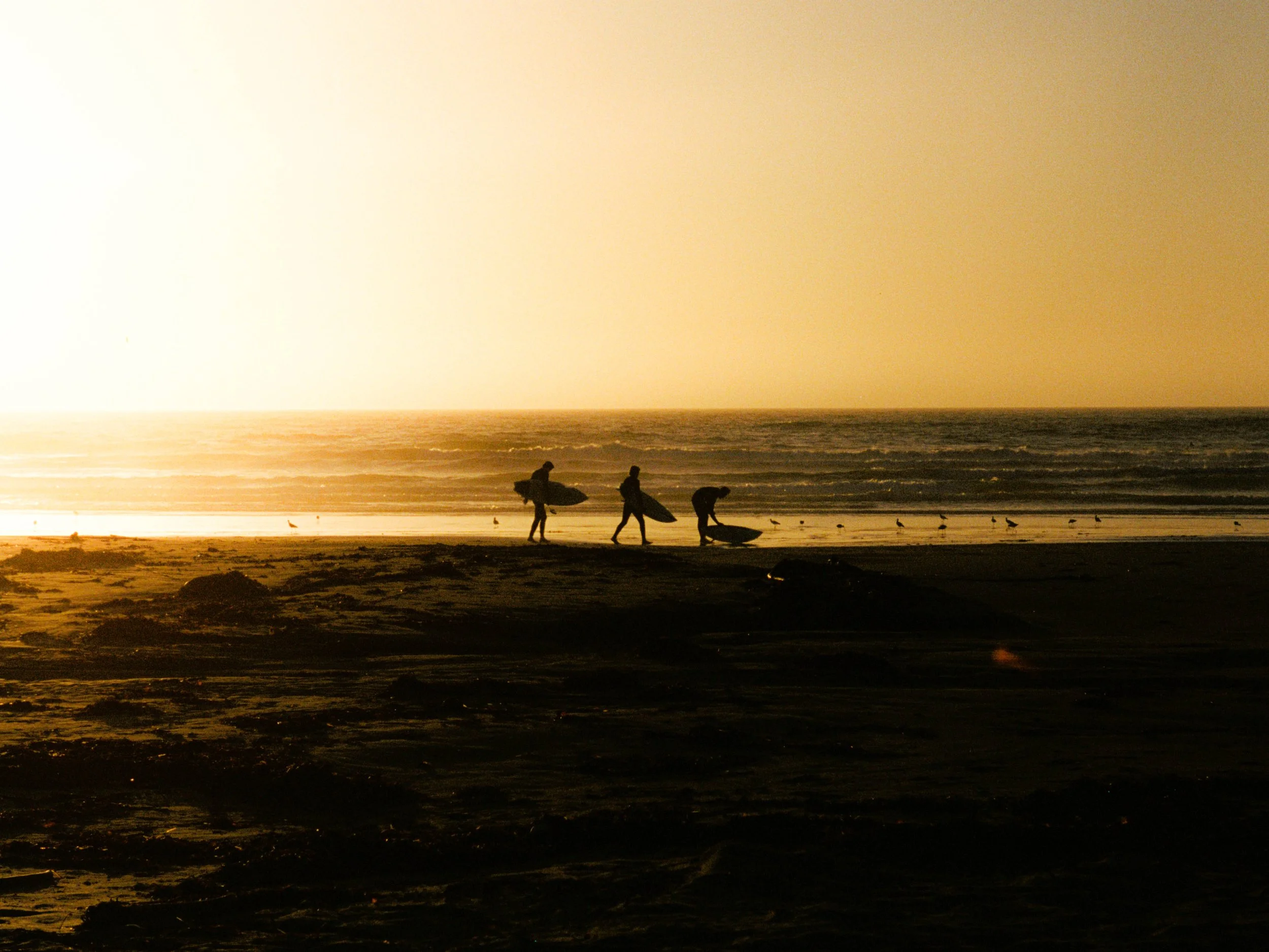 MORROBAY_SEPT2026_V1-8.jpg
