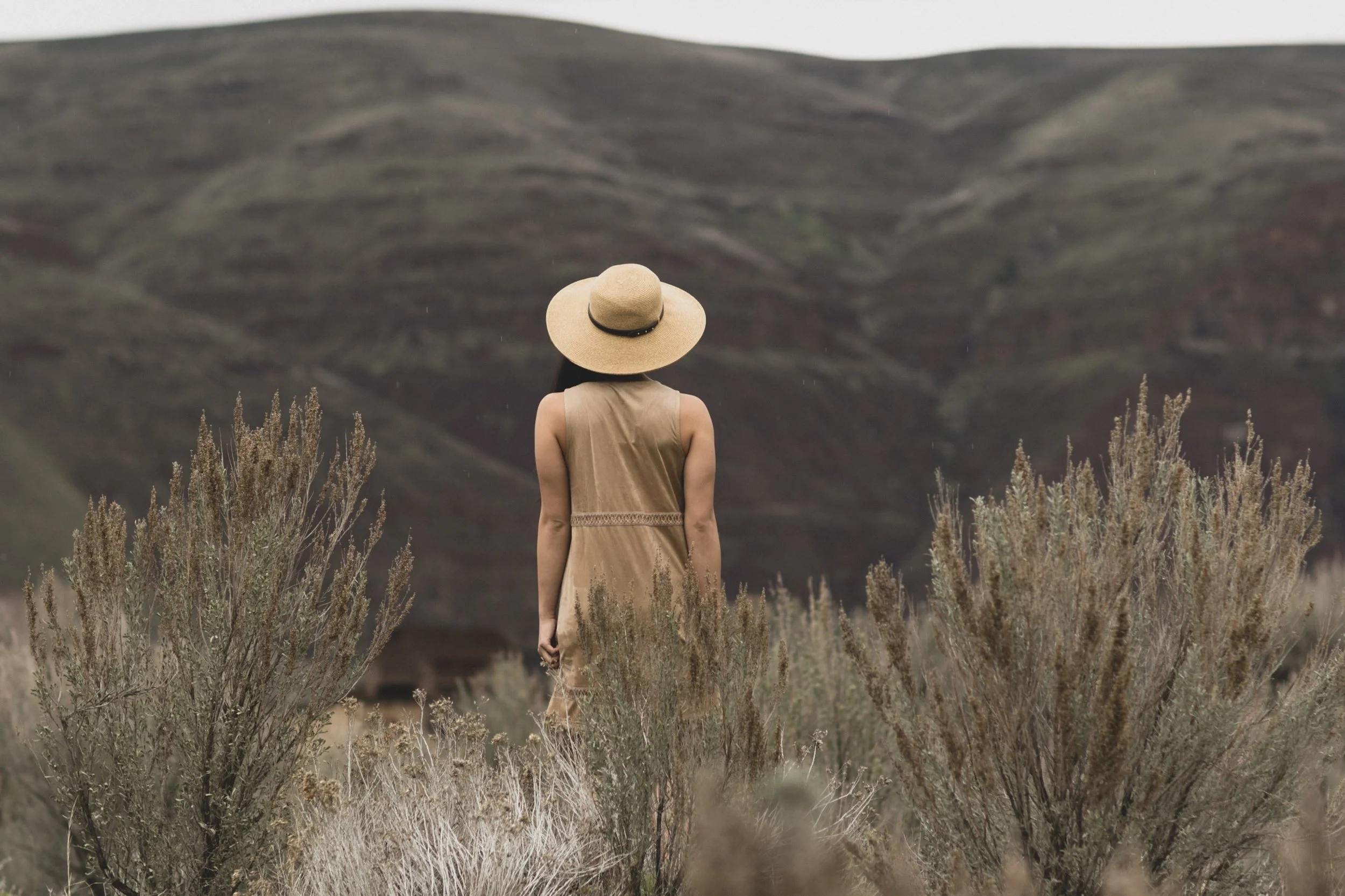 adventure-back-view-brown-1922251.jpg