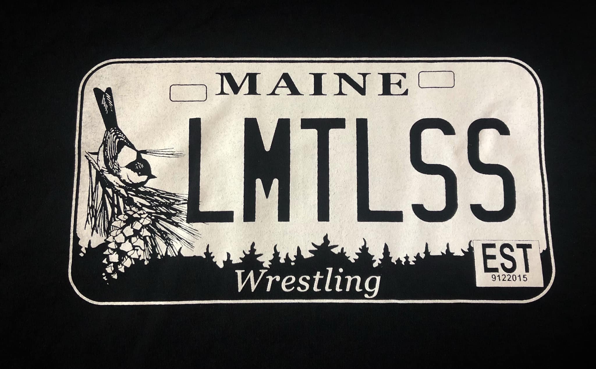 Limitless License Plate T-Shirt