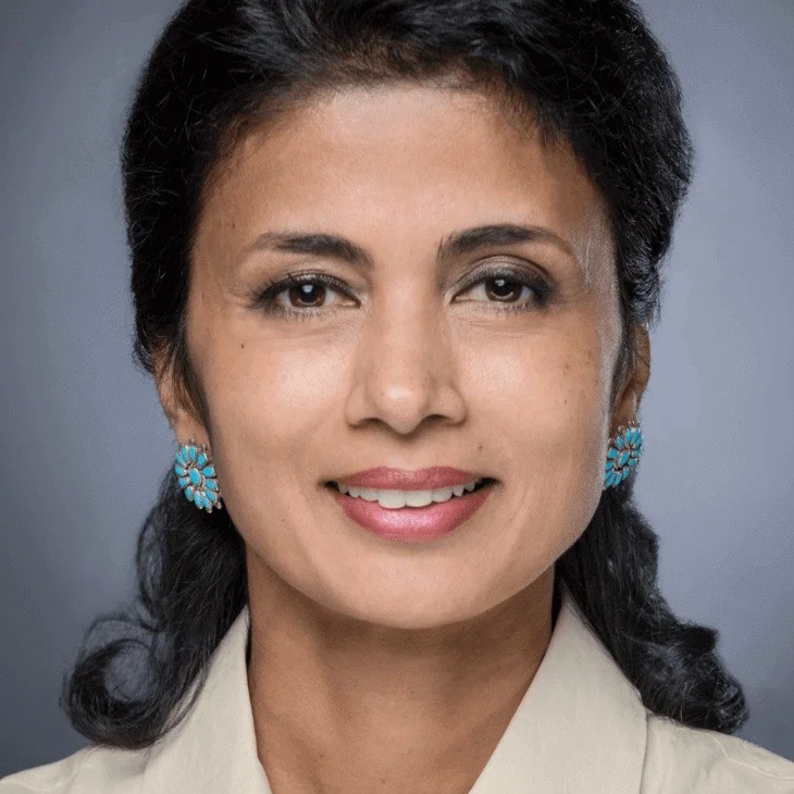 Nilanjana Bhowmik, Converge